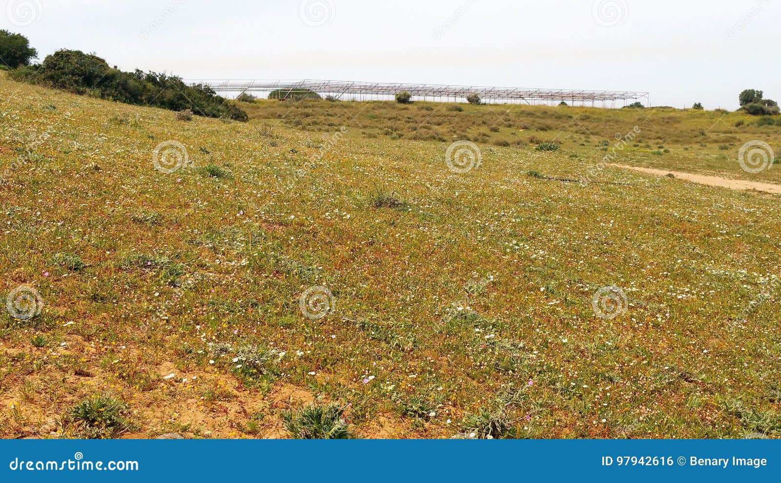 Sharon Park stock photo. Image of trip, nature, trees 97942616