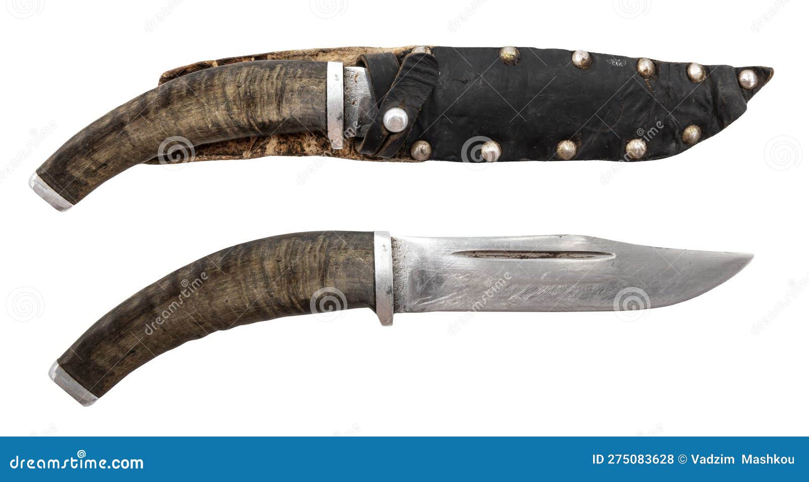 Sharp Hunting Knife with a Wooden Handle on a White Background. Knife