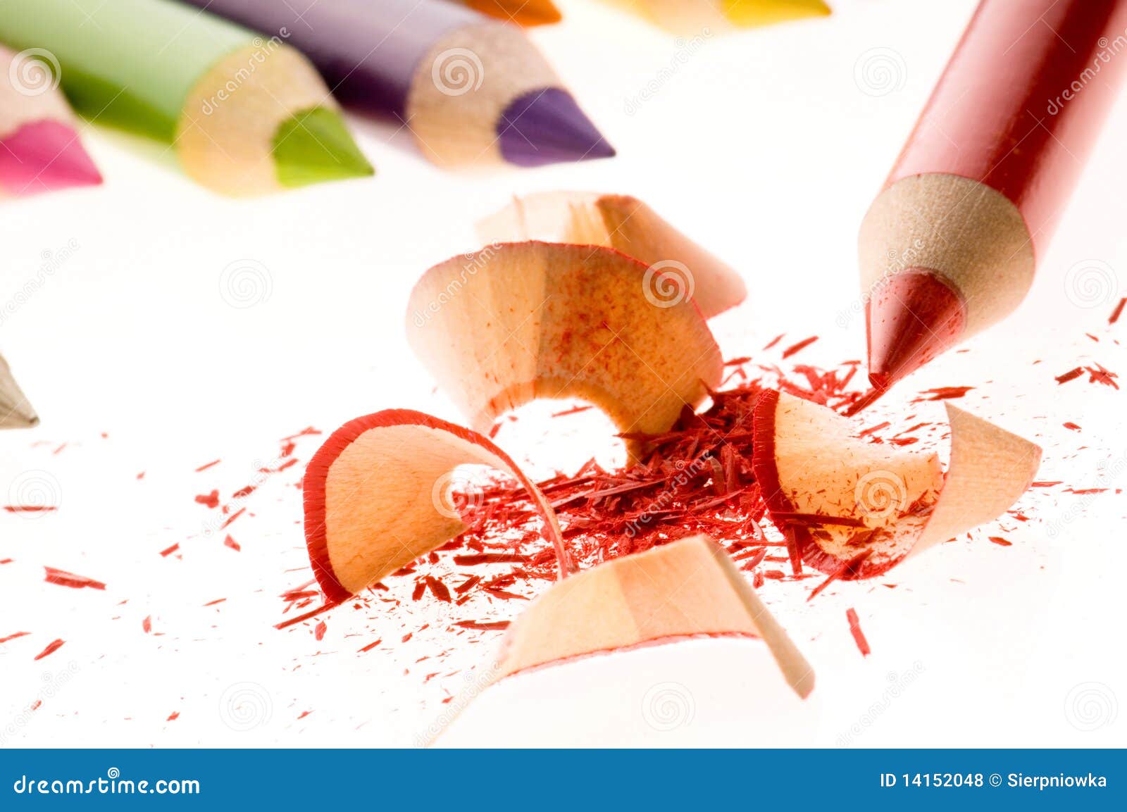 Sharpened Pencils and Wood Shavings Stock Photo Image of brown, close