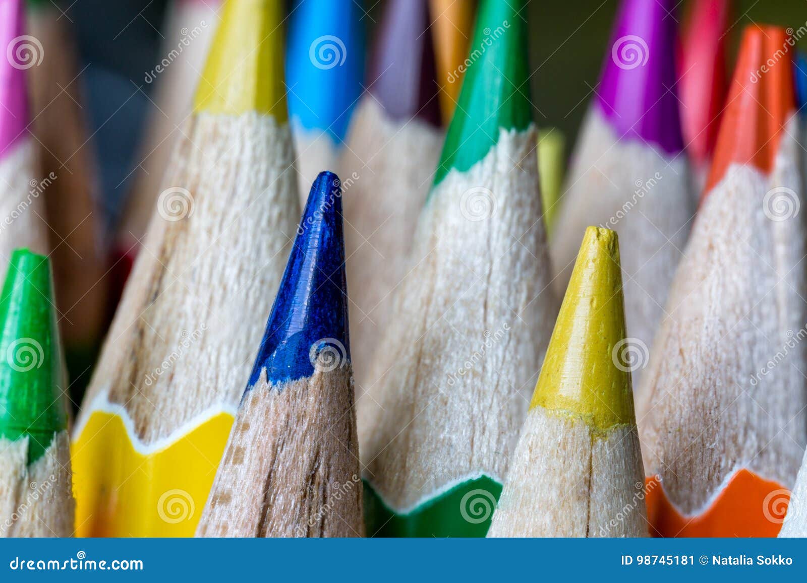 Sharps Of Sharpened Colored Pencils Stock Image - Image of ...