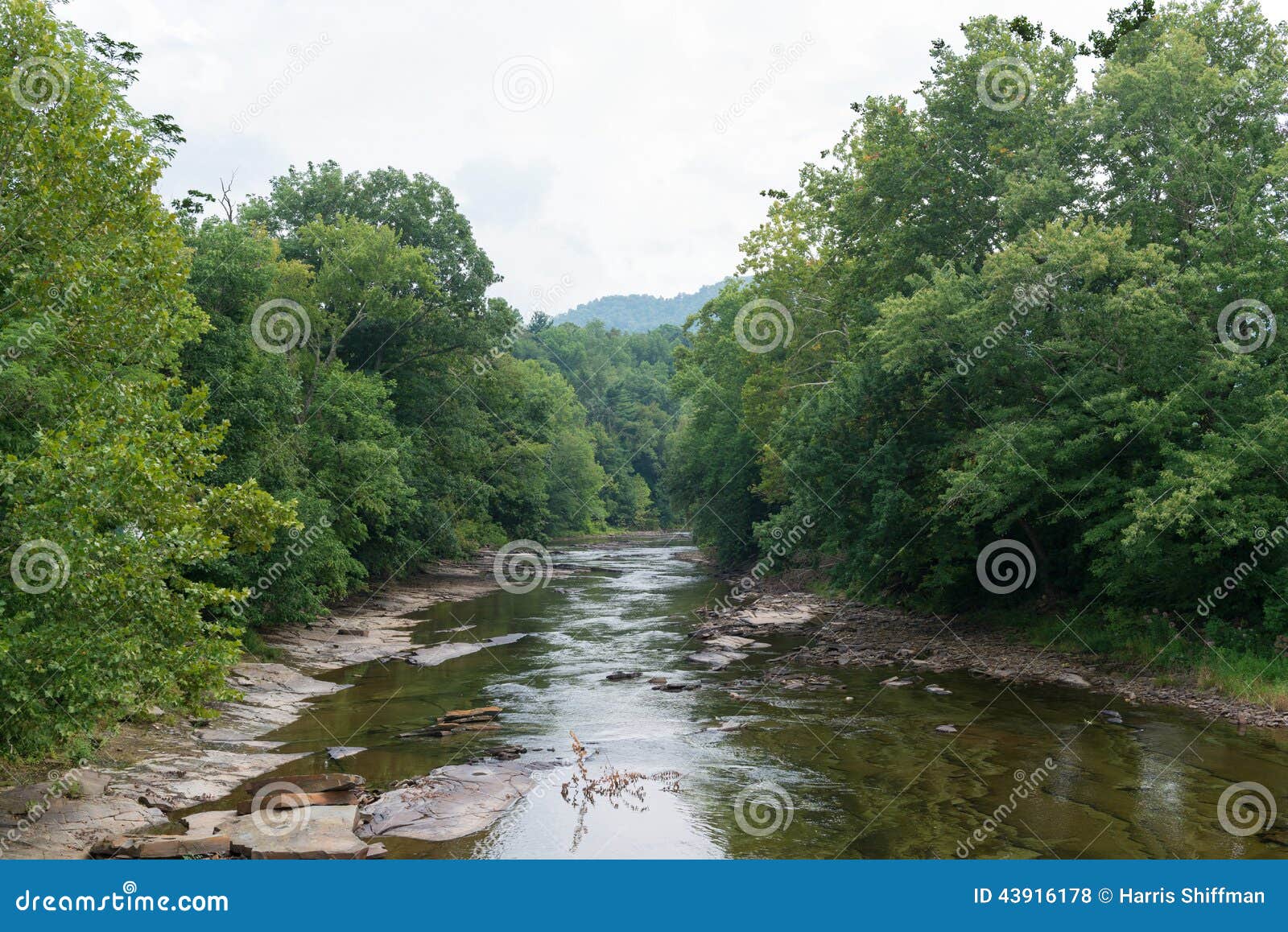 Shavers Fork stock photo. Image of riverbank, virginia 43916178