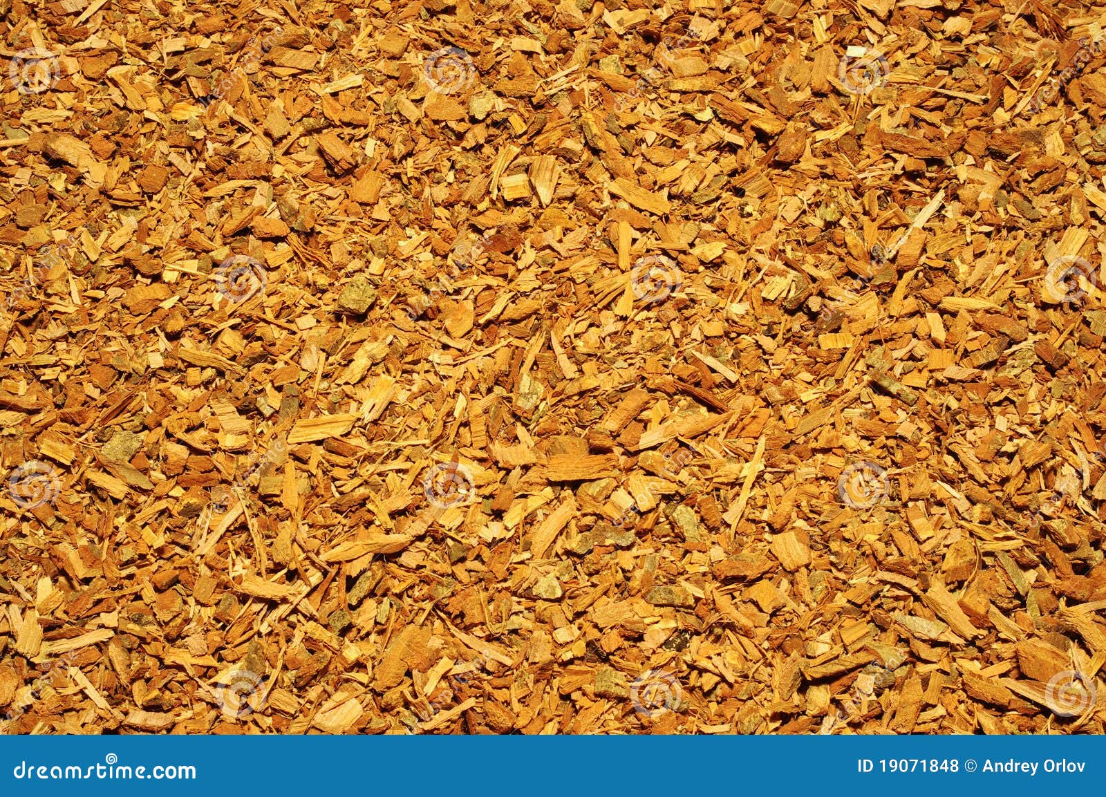 Shavings of Oak Bark As Background Stock Photo Image of finishing