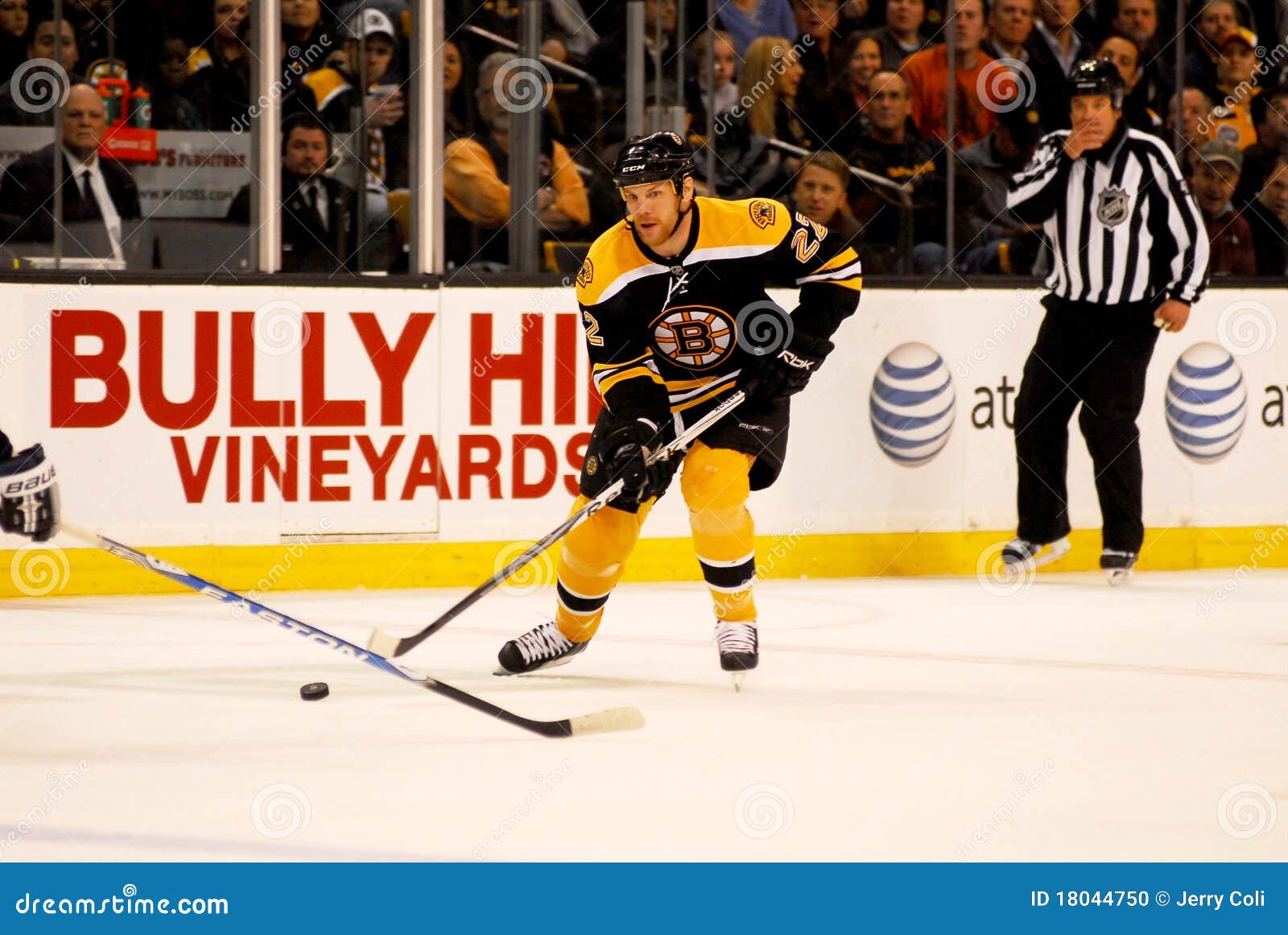 Shawn Thornton Boston Bruins Editorial Image Image of enforcer, skate