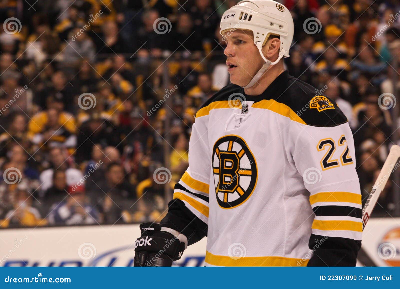 Shawn Thornton Boston Bruins Editorial Stock Image Image of shawn