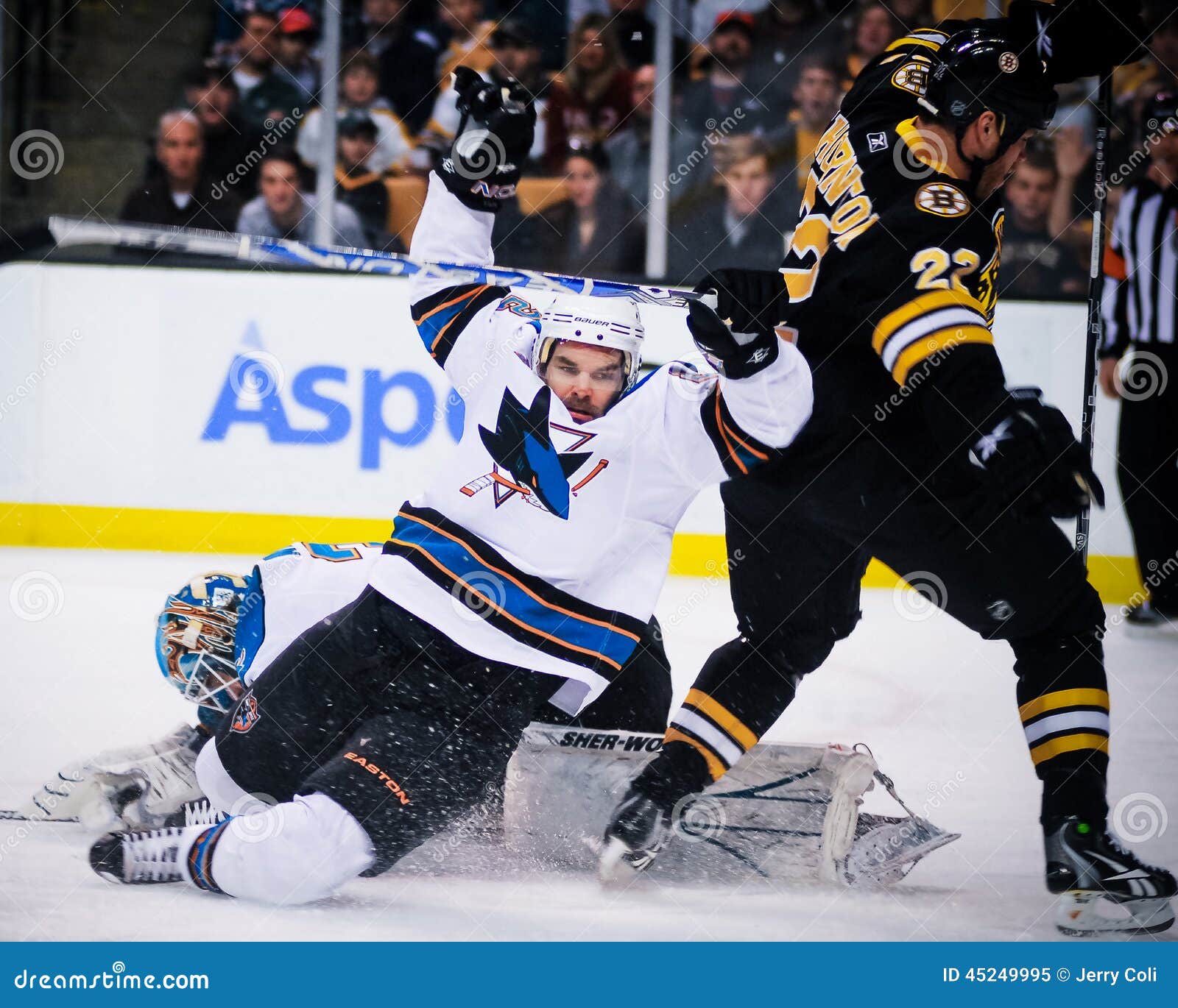 Shawn Thornton, Boston Bruins Editorial Image Image of players