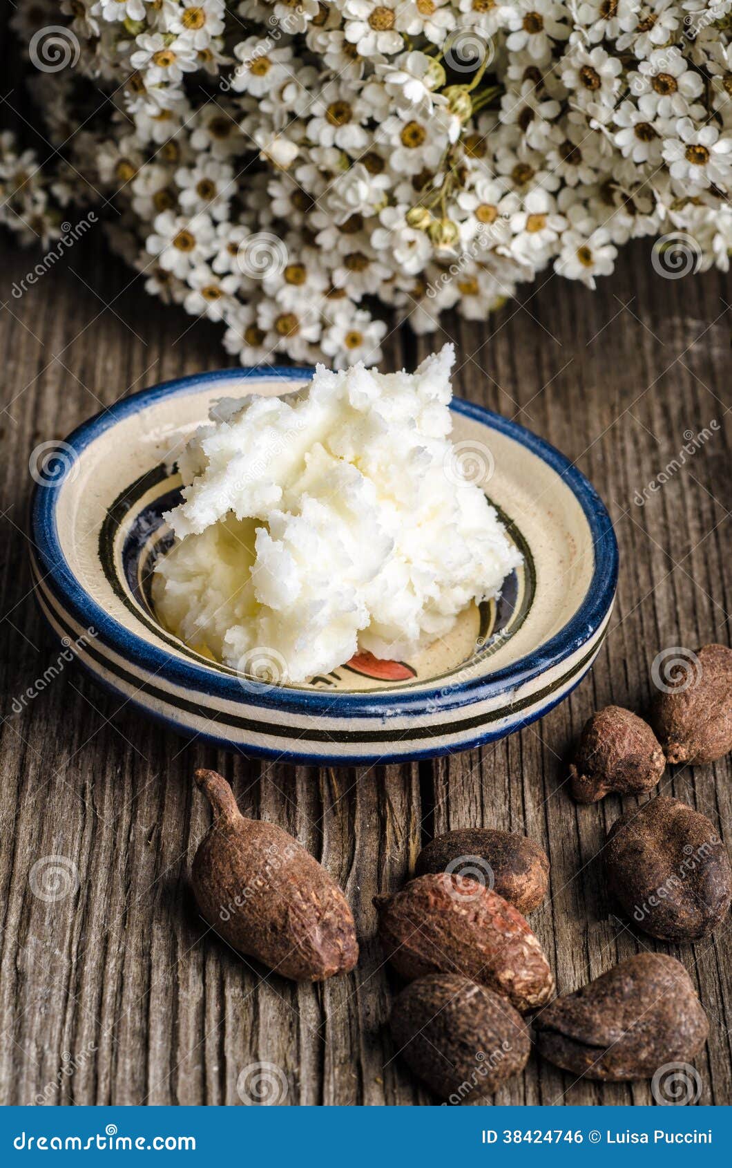 Shea butter and nuts stock photo. Image of rural, africa 38424746