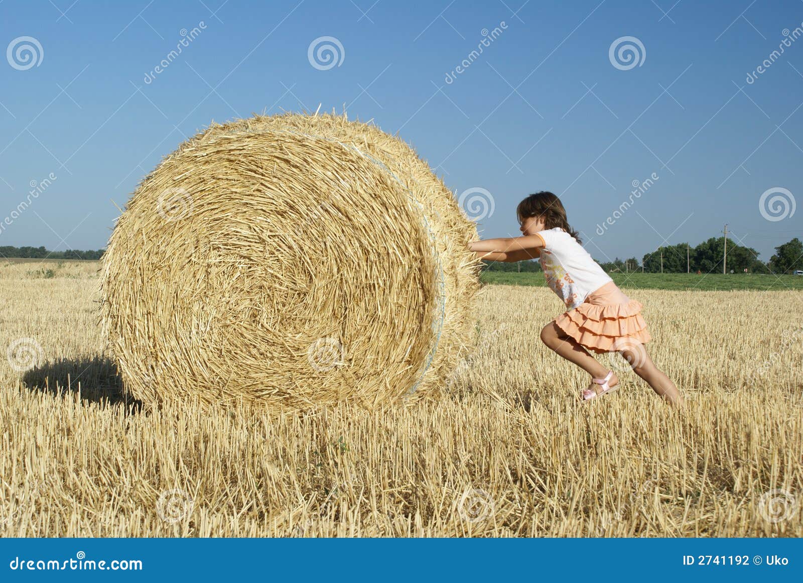 Sheaf stock photo. Image of rural, sheaf, industry, posing 2741192