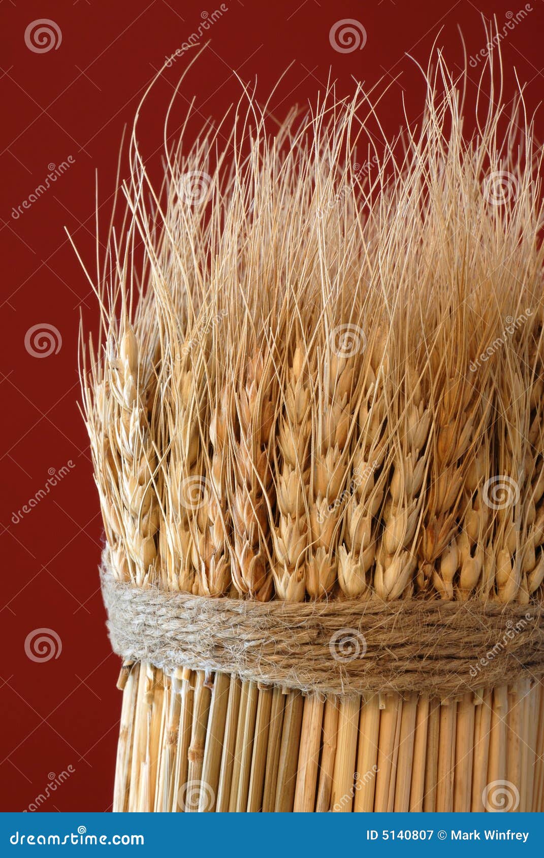 Sheaf of Wheat stock image. Image of crops, agricultural 5140807