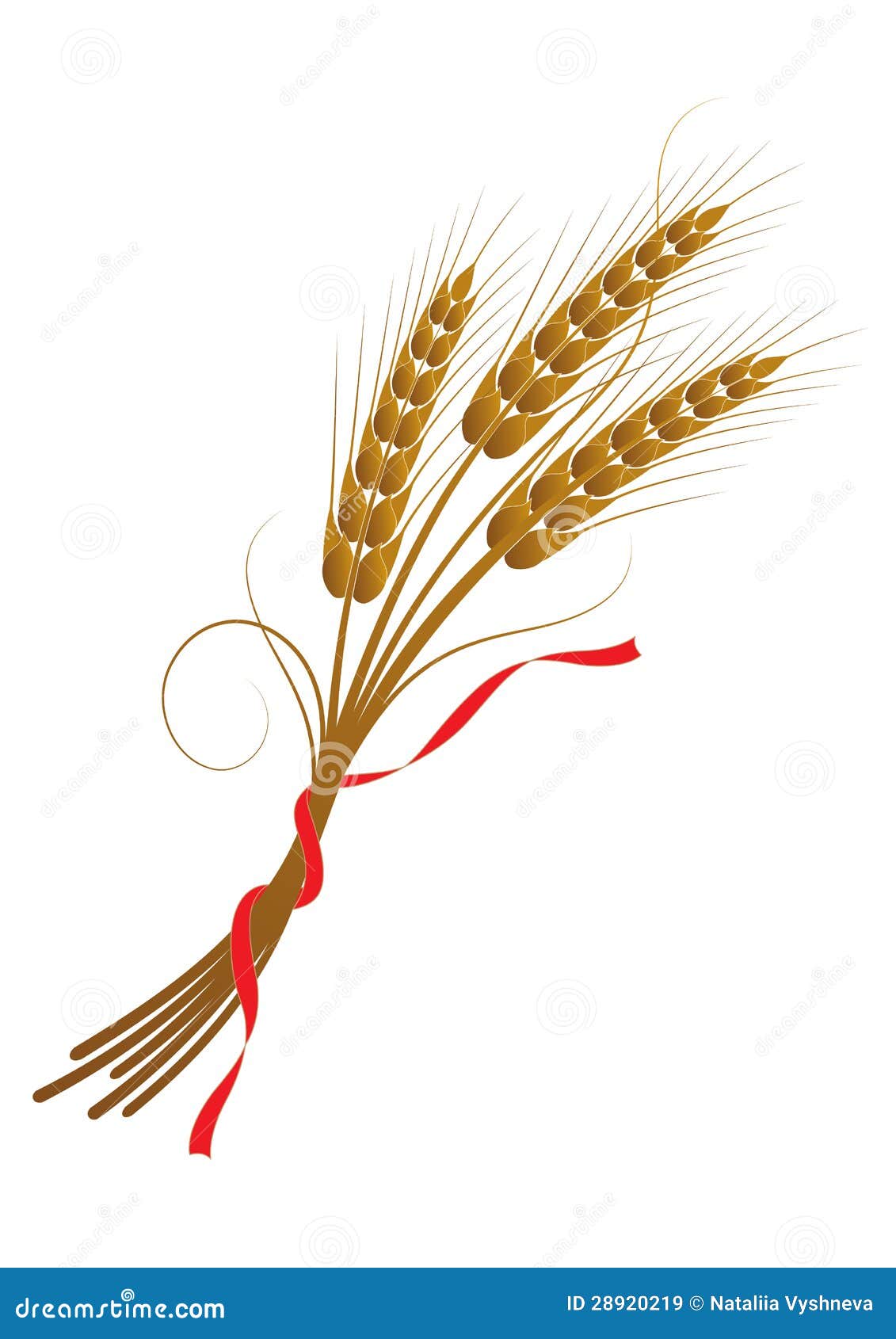 Wheat Head Clip Art