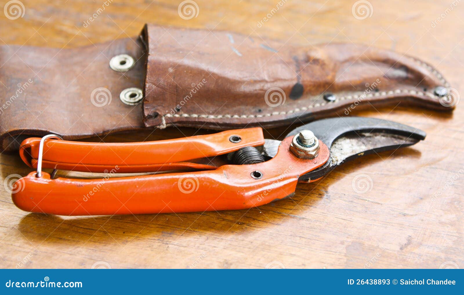 Shears cut branches stock image. Image of architecture 26438893