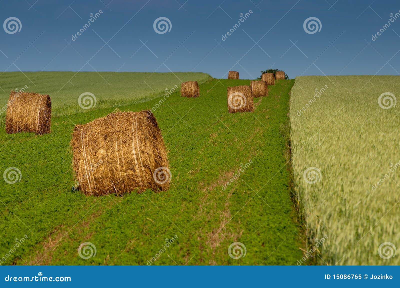 Sheaves stock image. Image of nature, sunny, weather 15086765