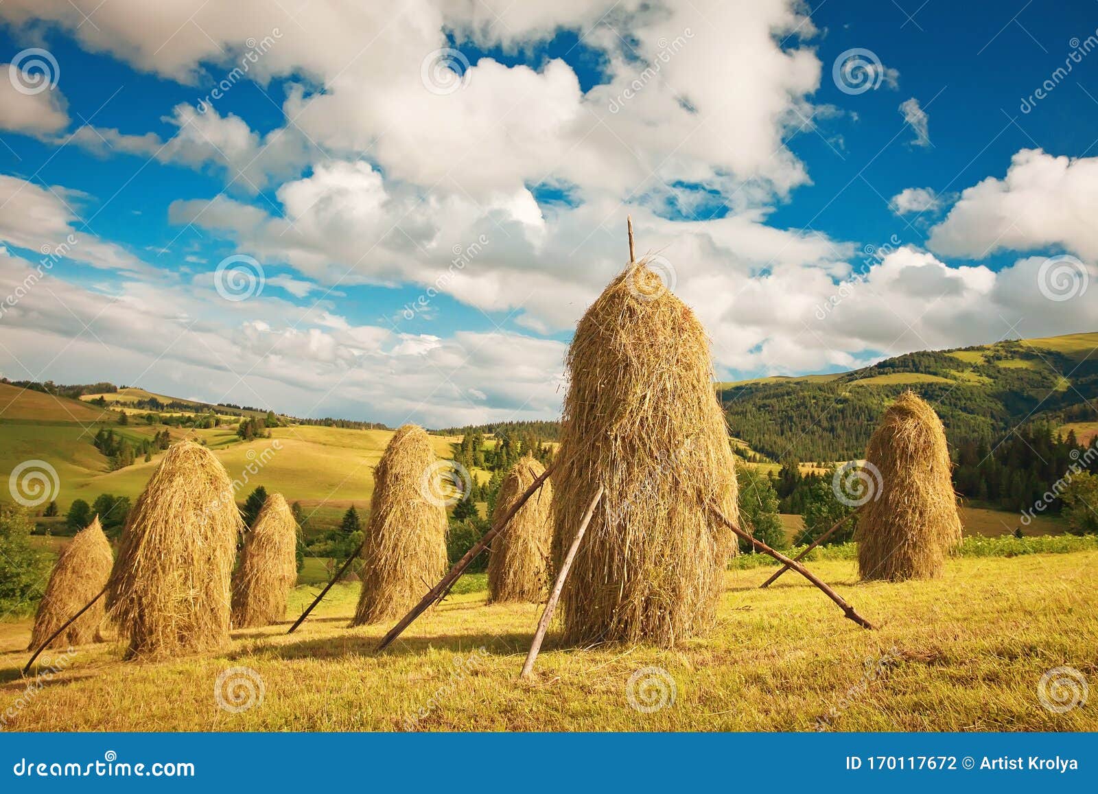 Sheaves of Hay at the Meadow in the Middle of the Mountain Stock Photo ...