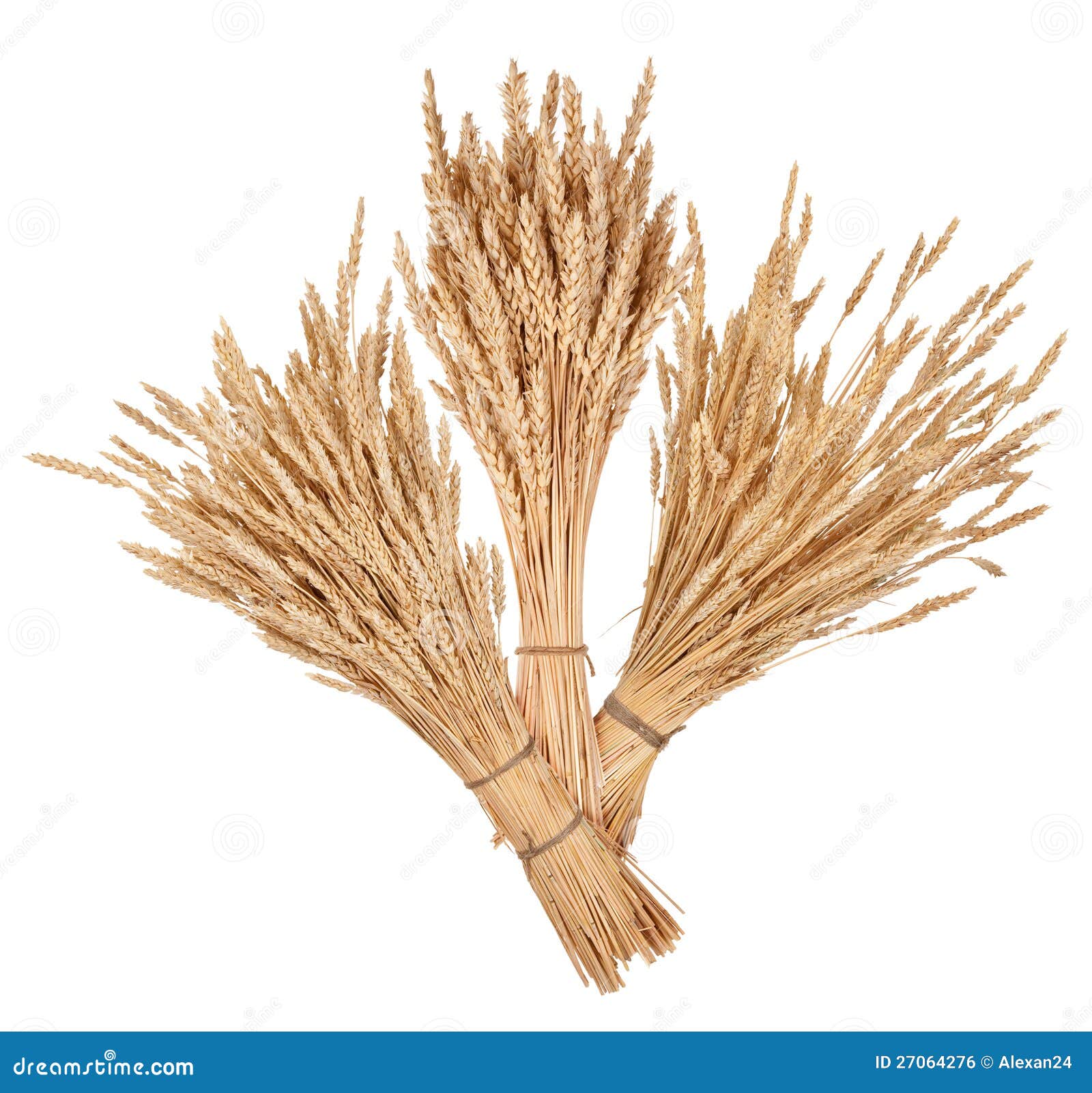 Sheaves of wheat stock photo. Image of kernel, sheaf 27064276