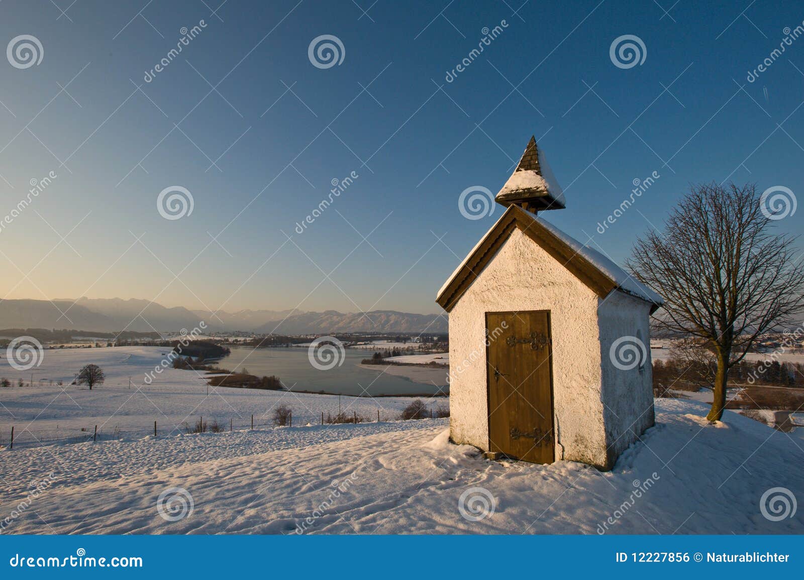 shed in wintry landscape