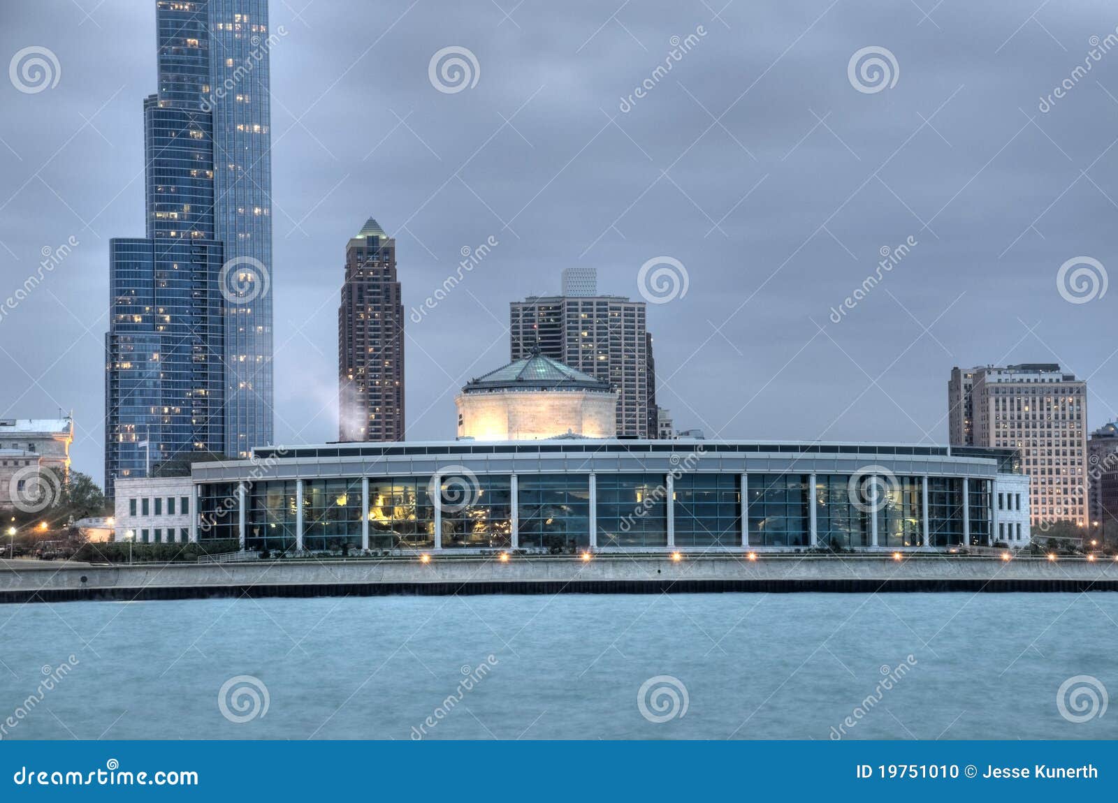 Shedd Aquarium In Chicago USA Museum Campus Fish Live Underwater