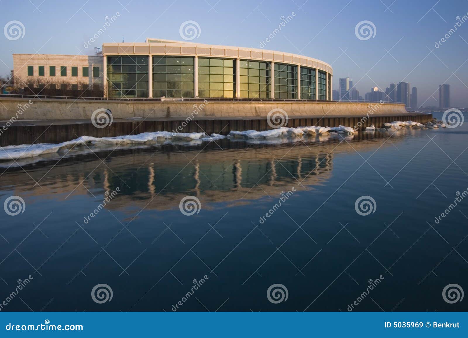 Shedd Aquarium In Chicago USA Museum Campus Fish Live Underwater