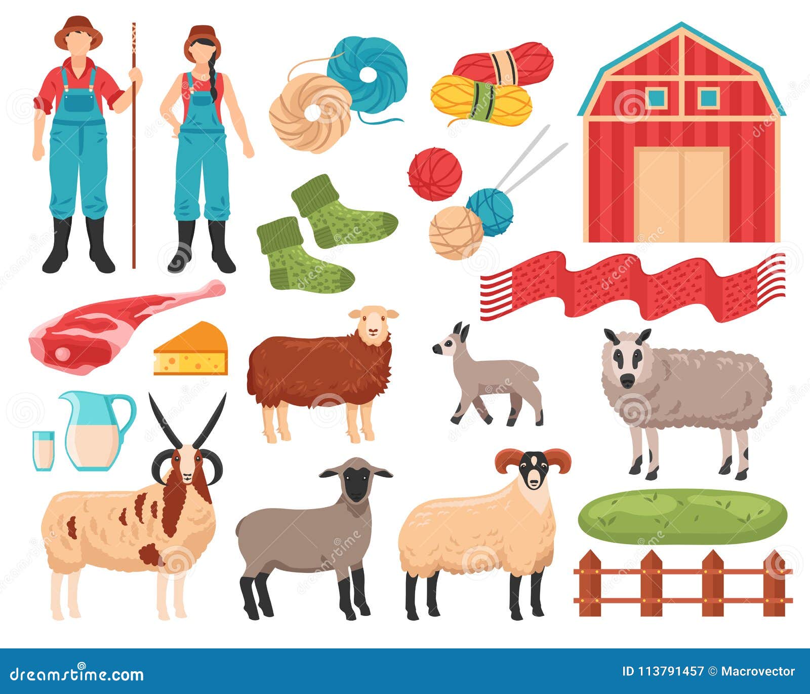 Sheep Breeding Farm Set stock vector. Illustration of cattle - 113791457