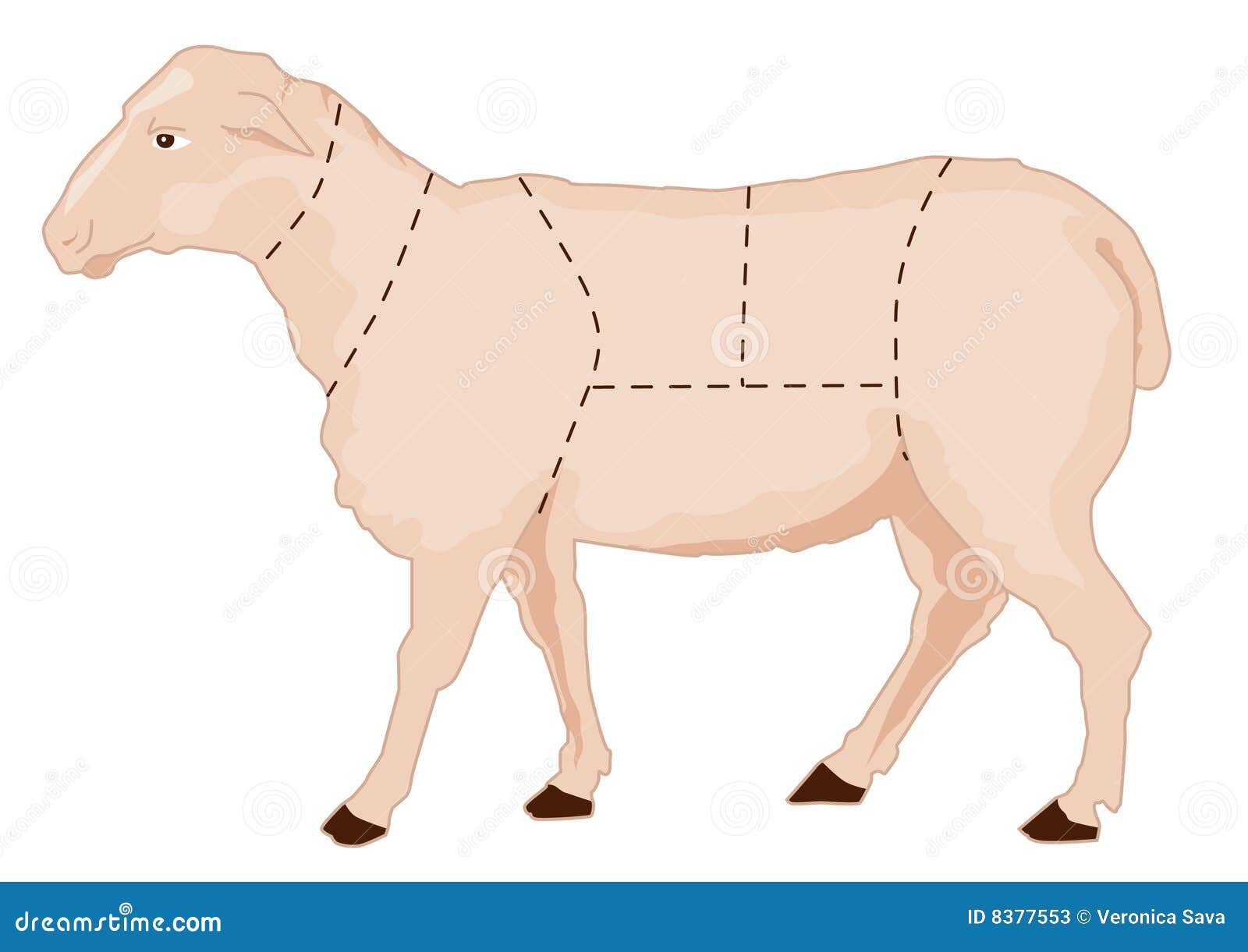 Lamb Butcher Chart