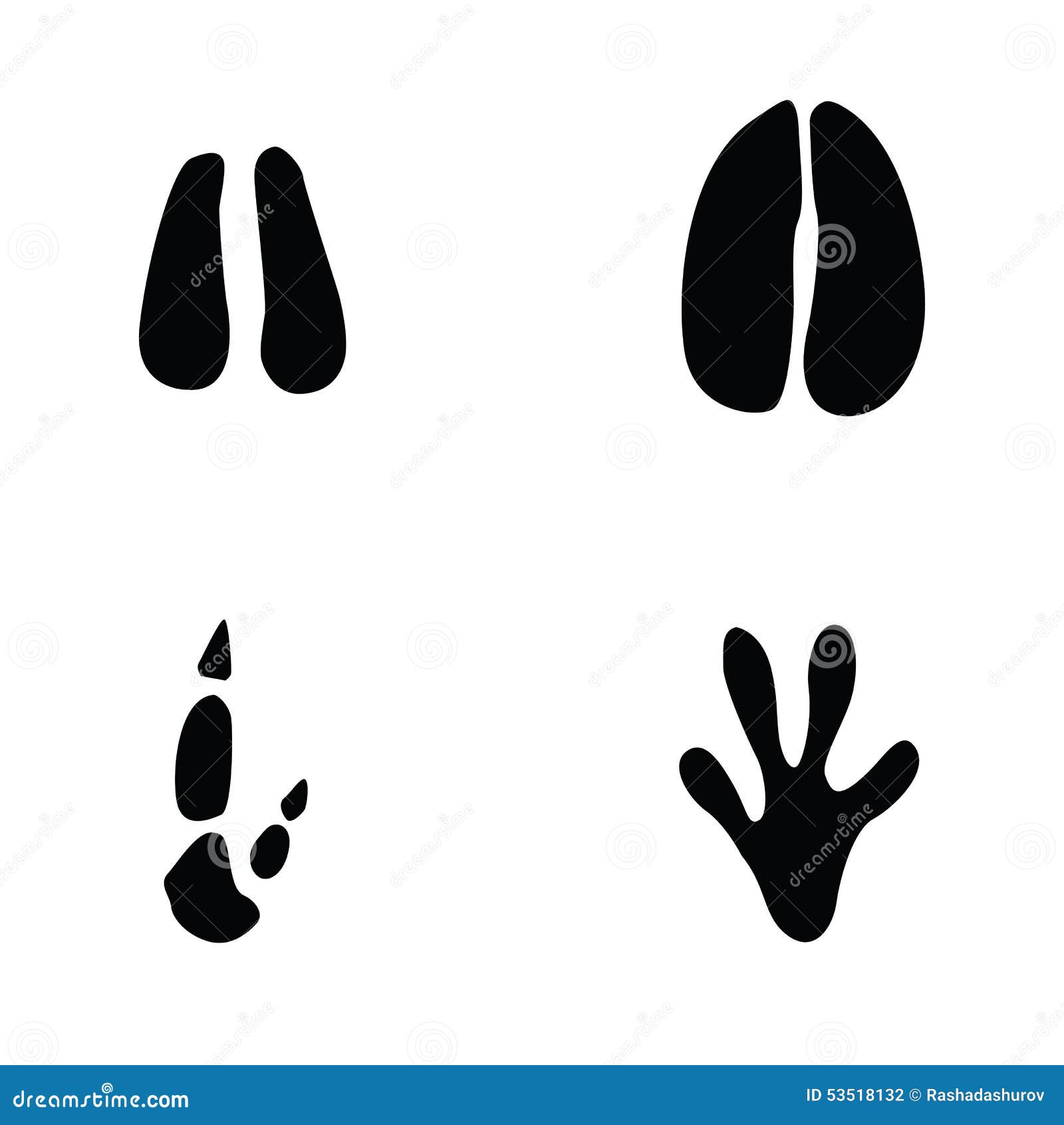 iguana footprint clipart - photo #17