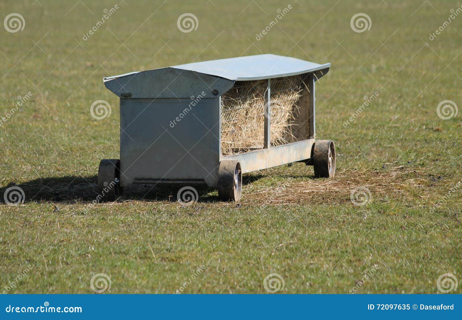 Sheep Feeder. stock image. Image of field, animal, feed 72097635