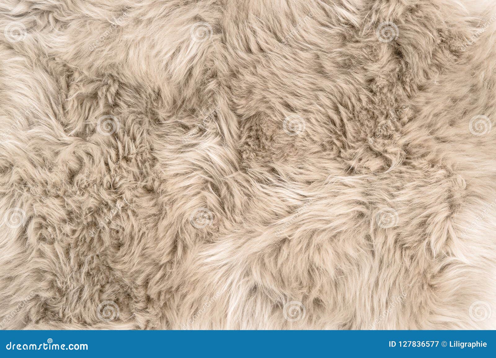 Sheep Fur Natural Sheepskin Rug Background Stock Image - Image of