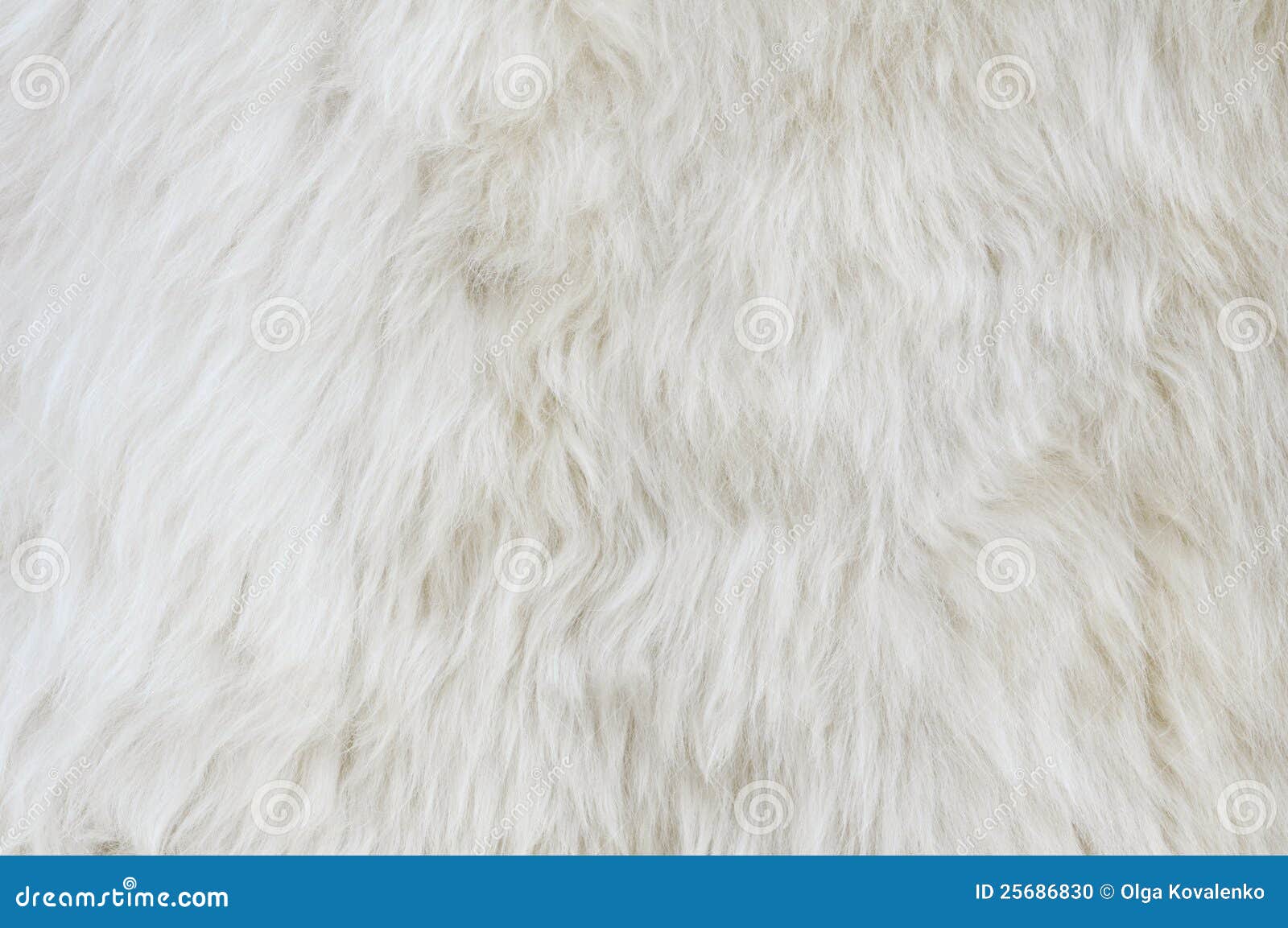 sheep fur texture