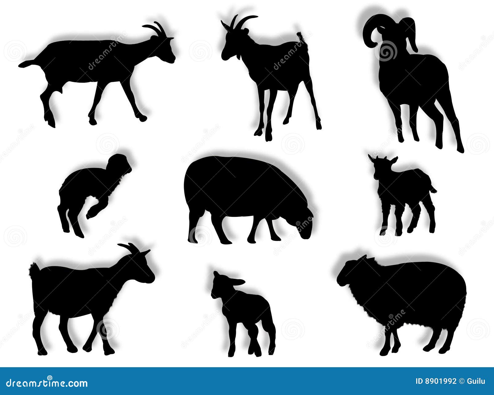sheep and goats in silhouette