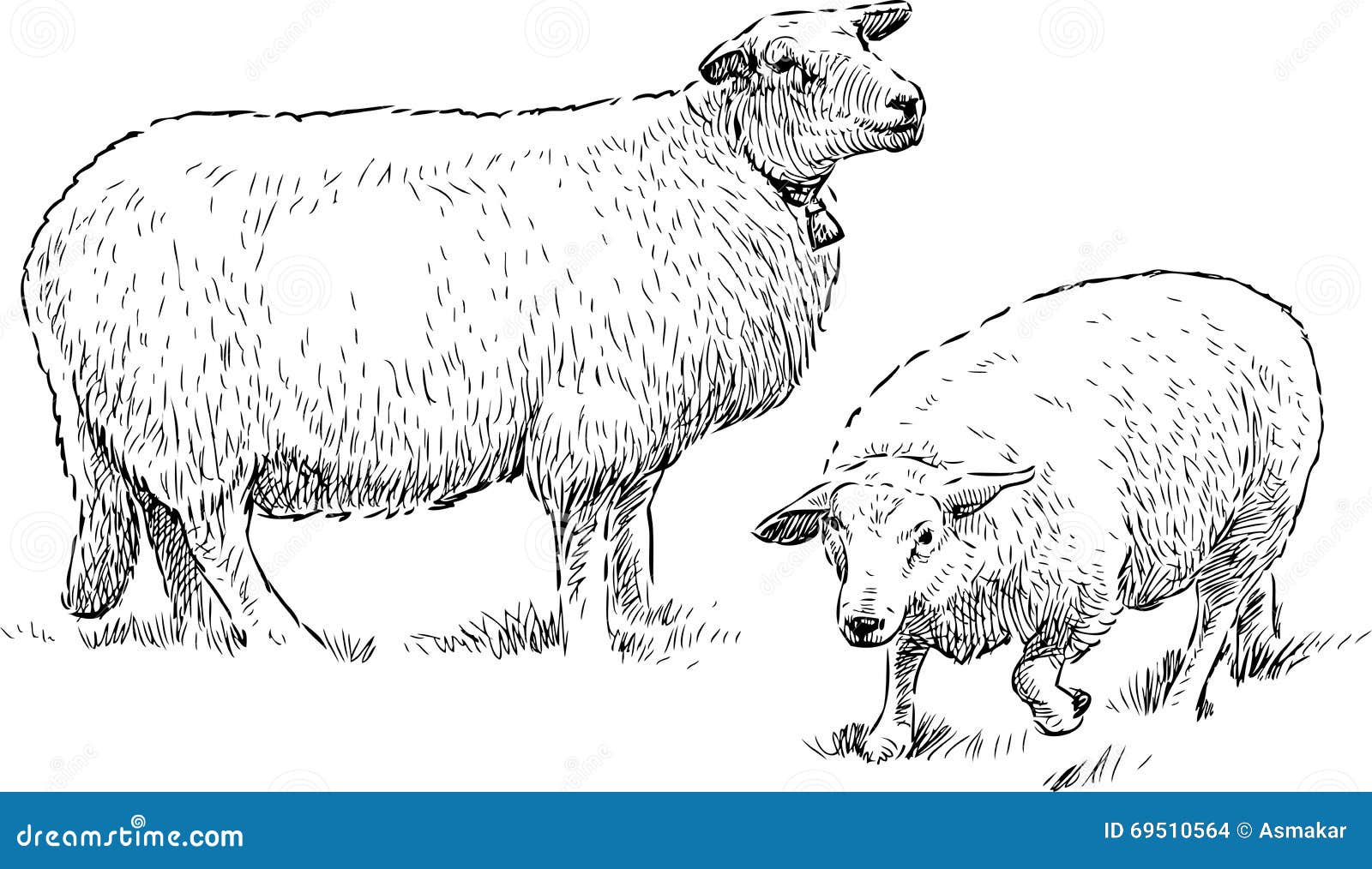 Sheep grazing stock vector. Illustration of hoofed, grass 69510564