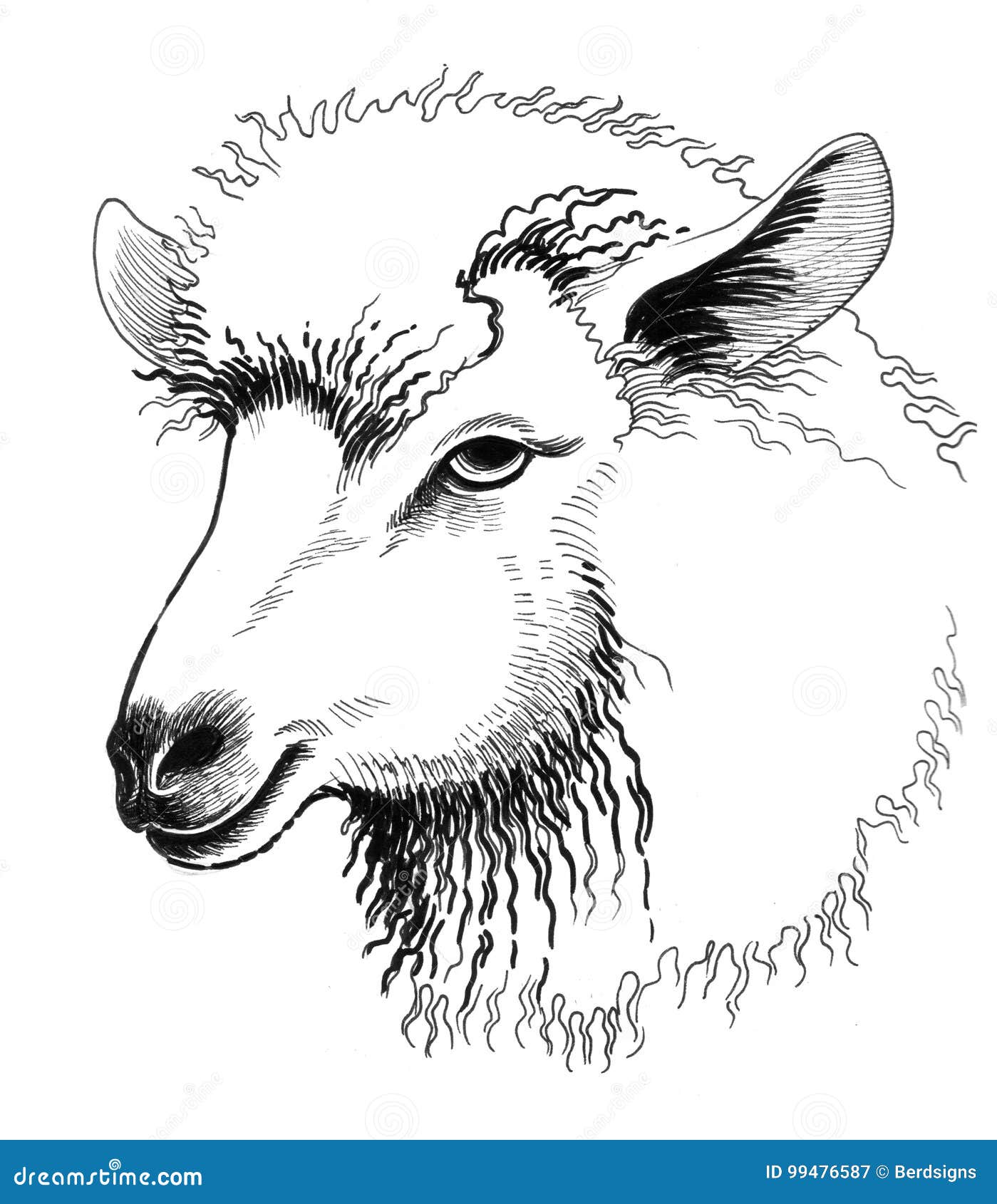 Sheep head stock illustration. Illustration of black