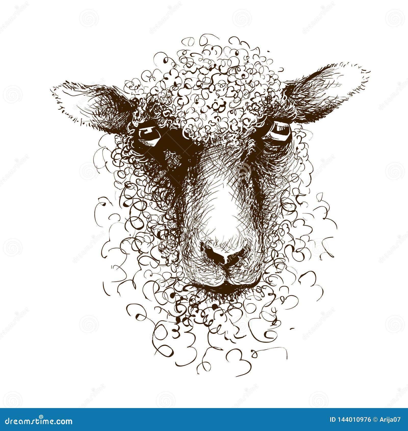 sheep lamb head. animal mammal portrait. ink drawing