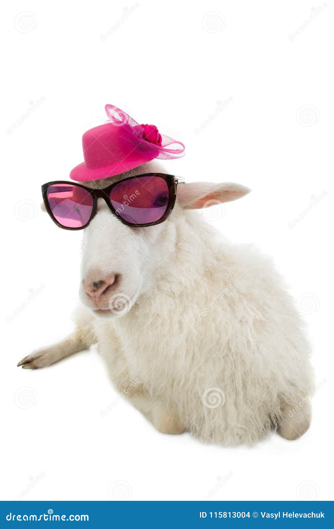 pink sheep glasses