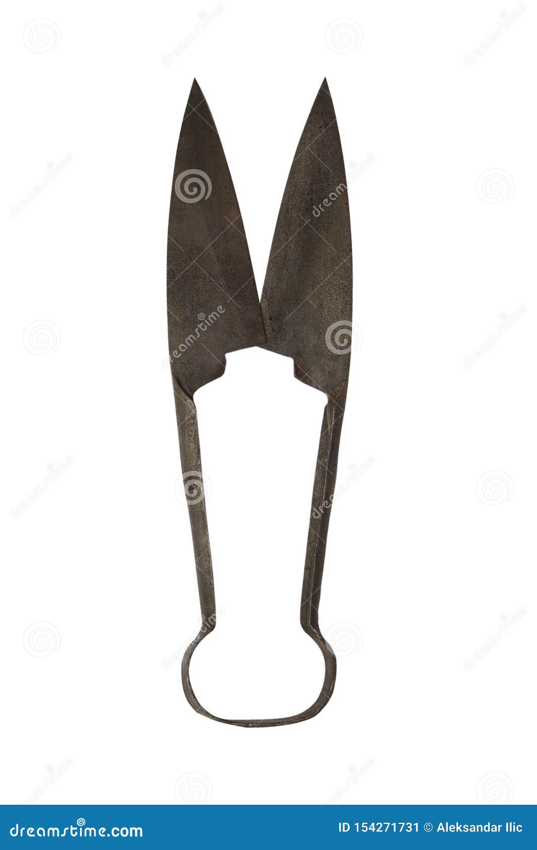 Sheep Shears. Vintage Rusted Scissors Isolated on White Stock Image