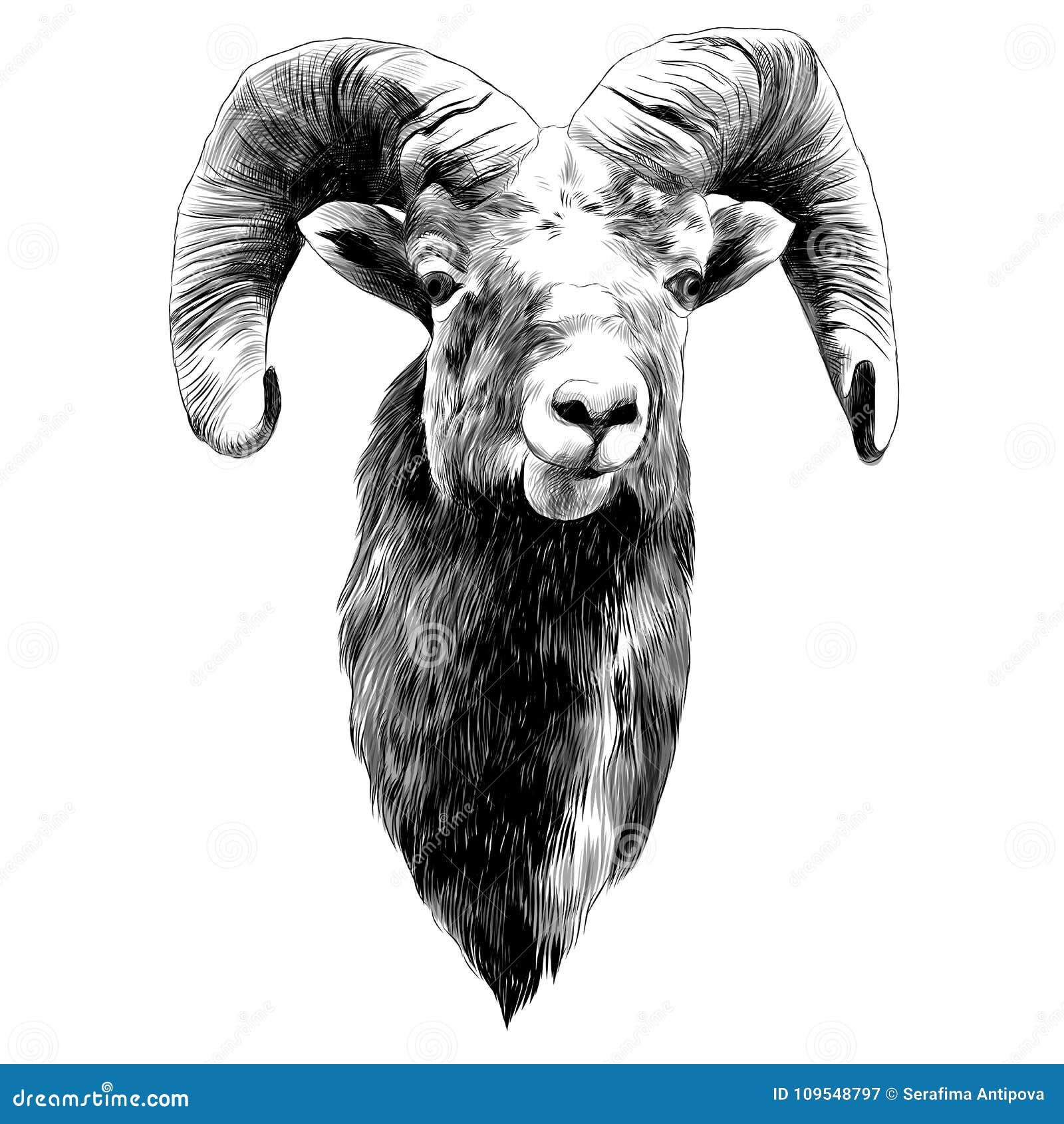 Sheep Sketch Vector Graphics Monochrome Stock Vector - Illustration of ...