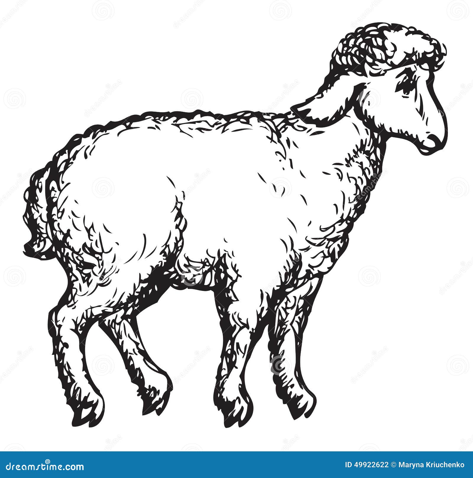 sheep profile clip art