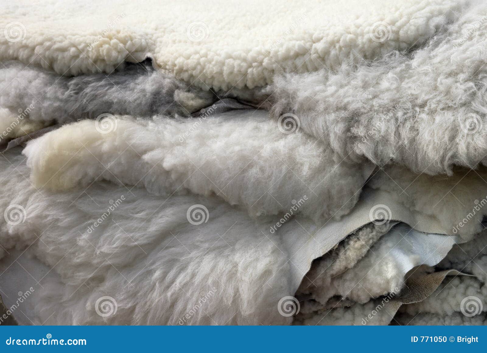 Sheepskins stock photo. Image of sheep, batch, sheepskin 771050