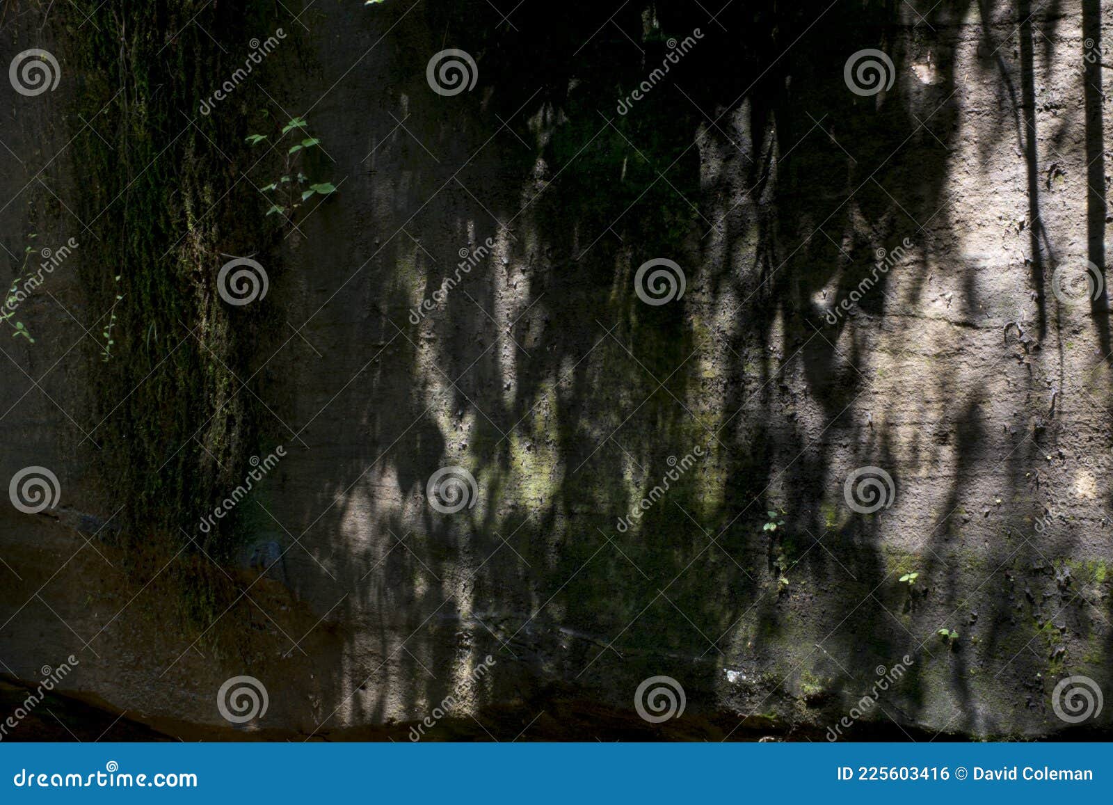 rock face splashed with sunlight