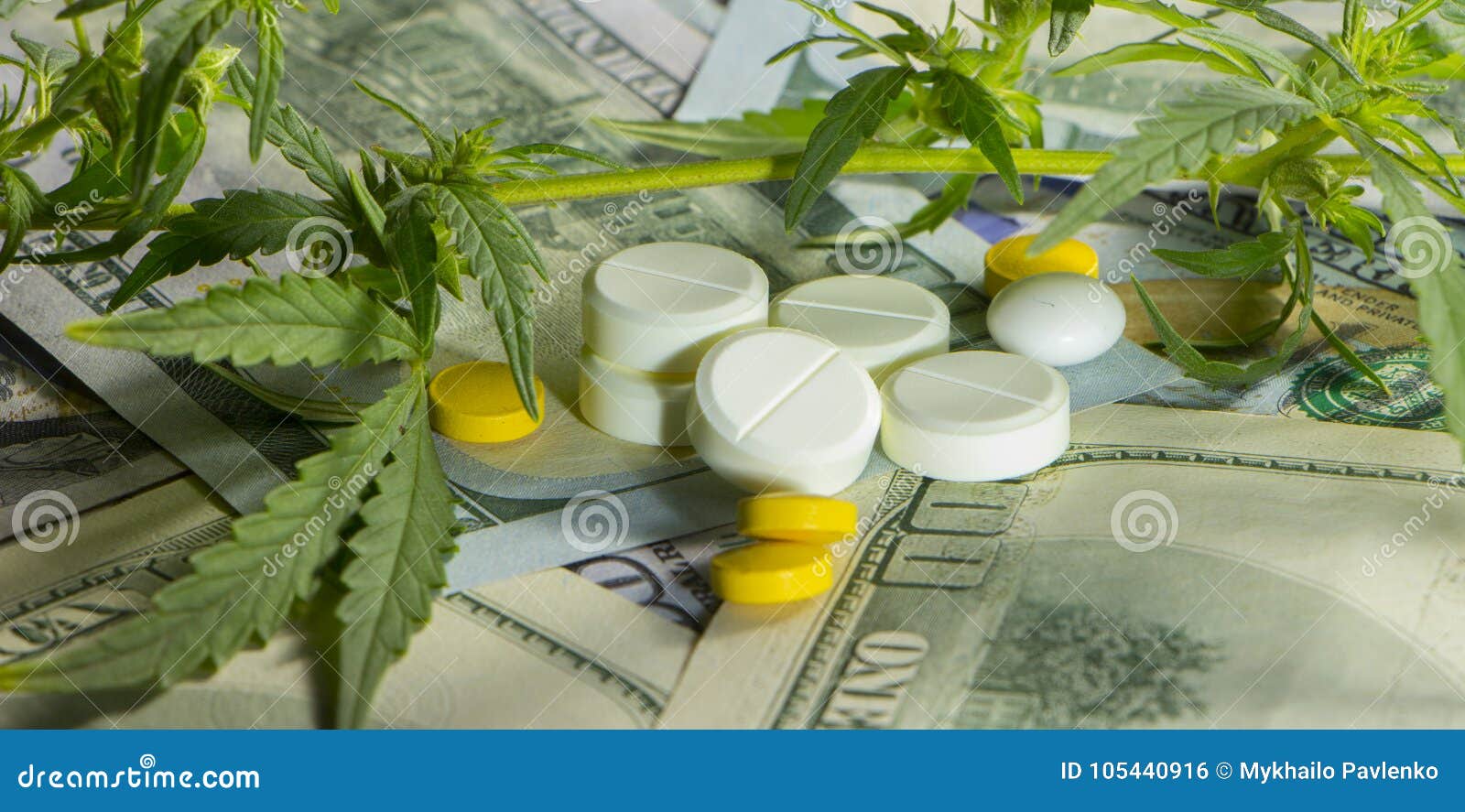 Sheet of a Hemp on a Background of 100 Dollar Bills Stock Photo Image