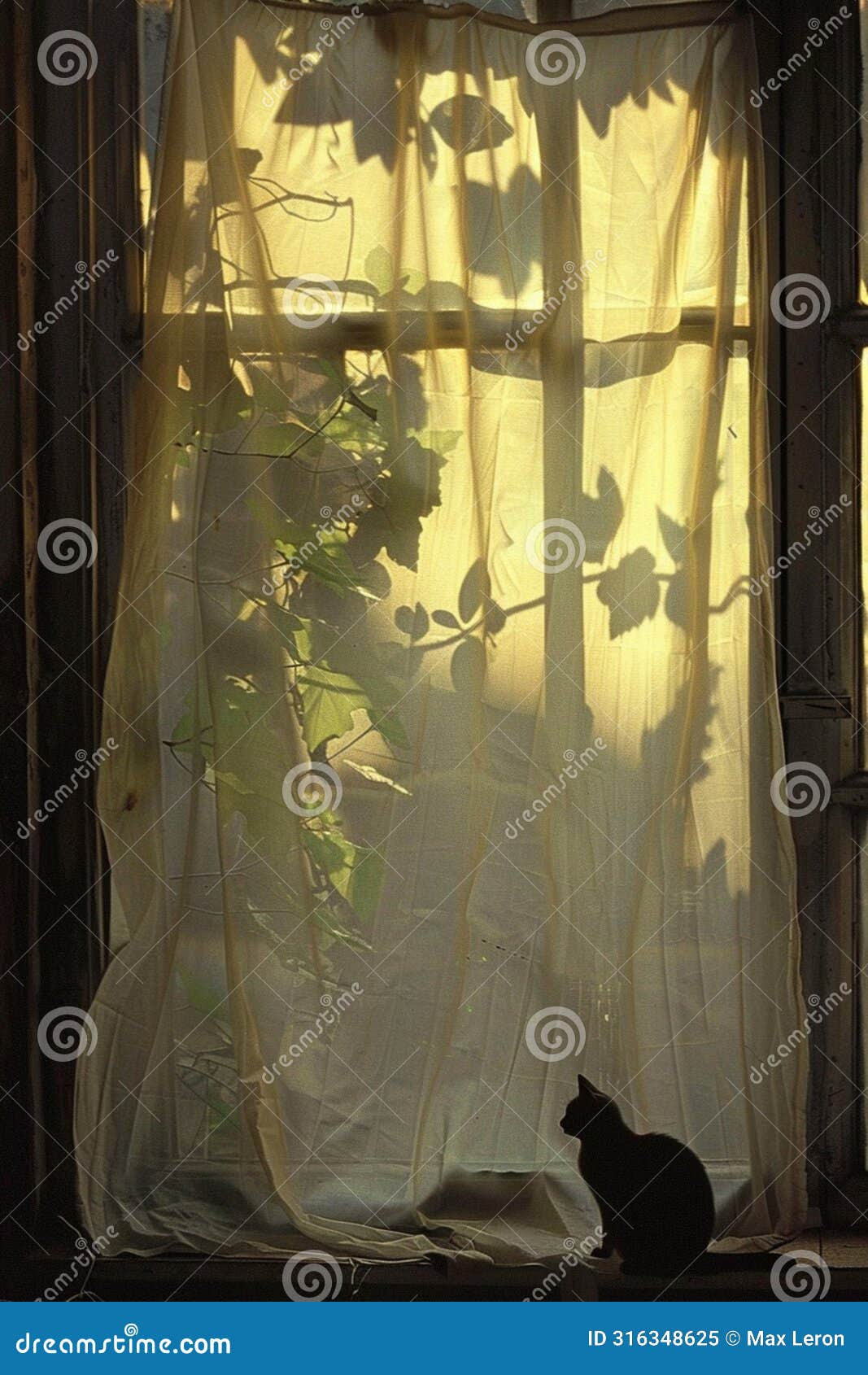 a sheet placed inside a window, a warm sun enters through the window