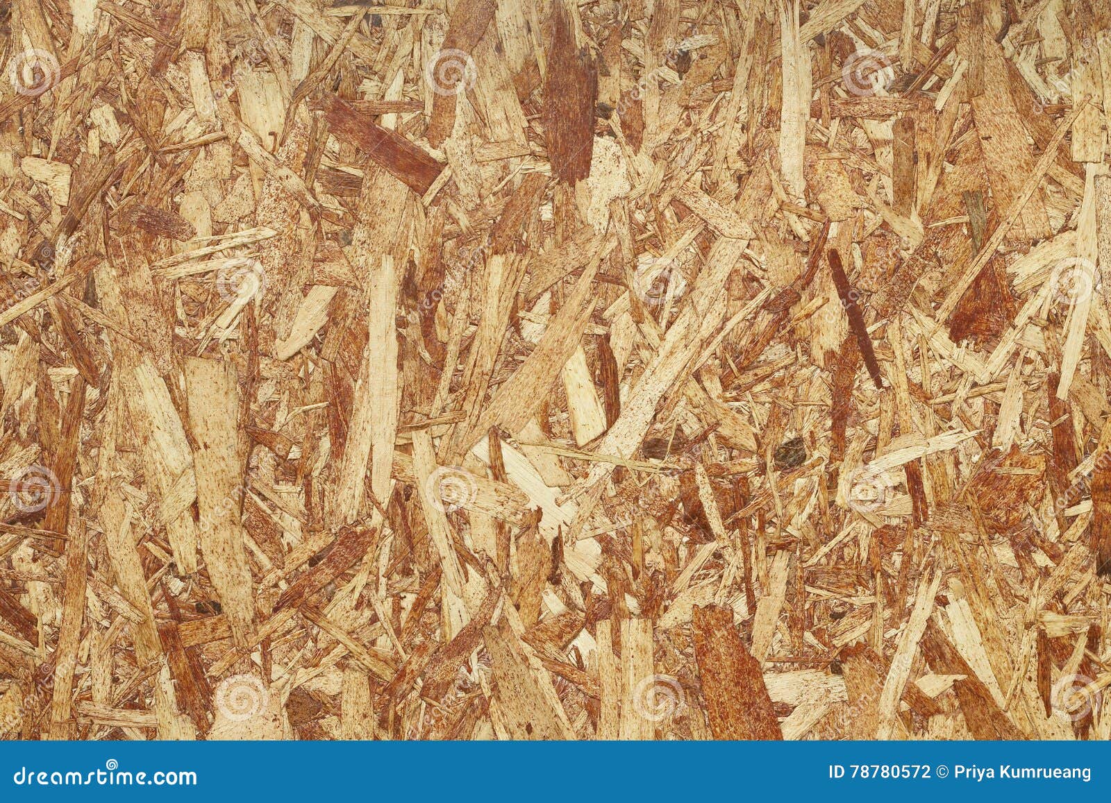 Sheet of Plywood with Fragments of Compressed Sawdust Stock Photo