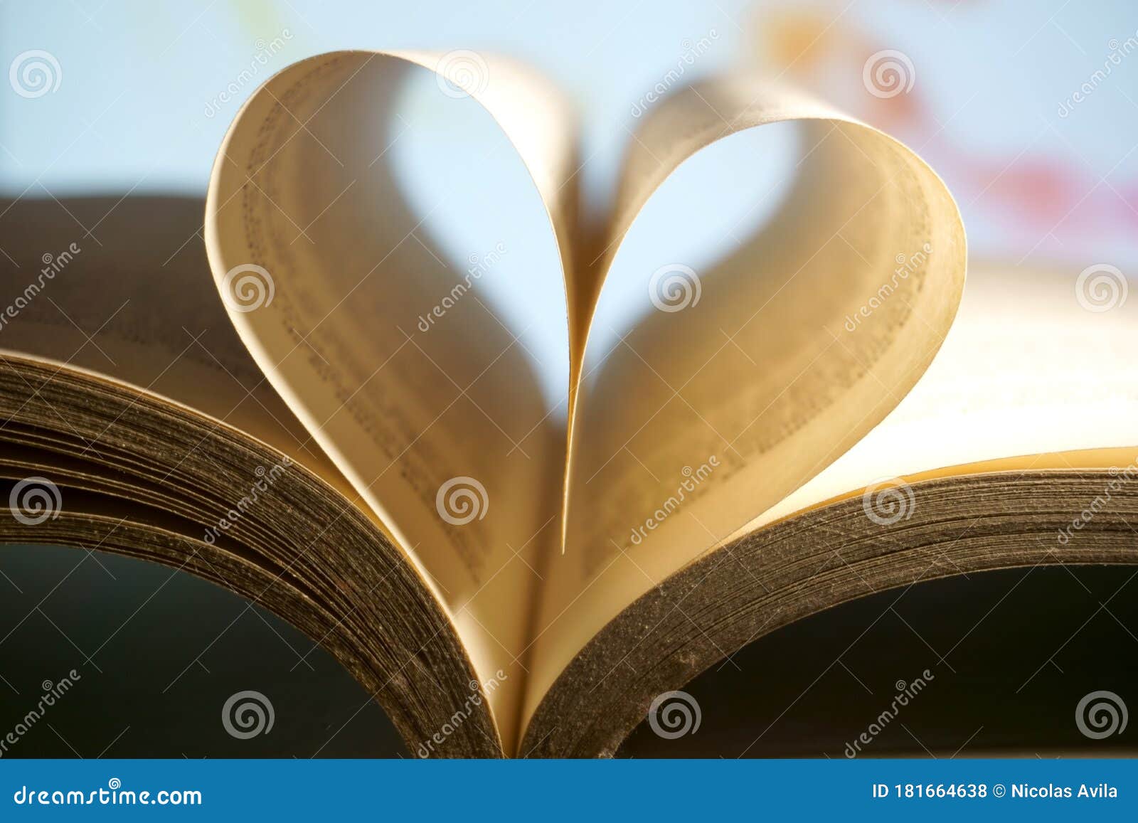 sheets of a book forming a heart