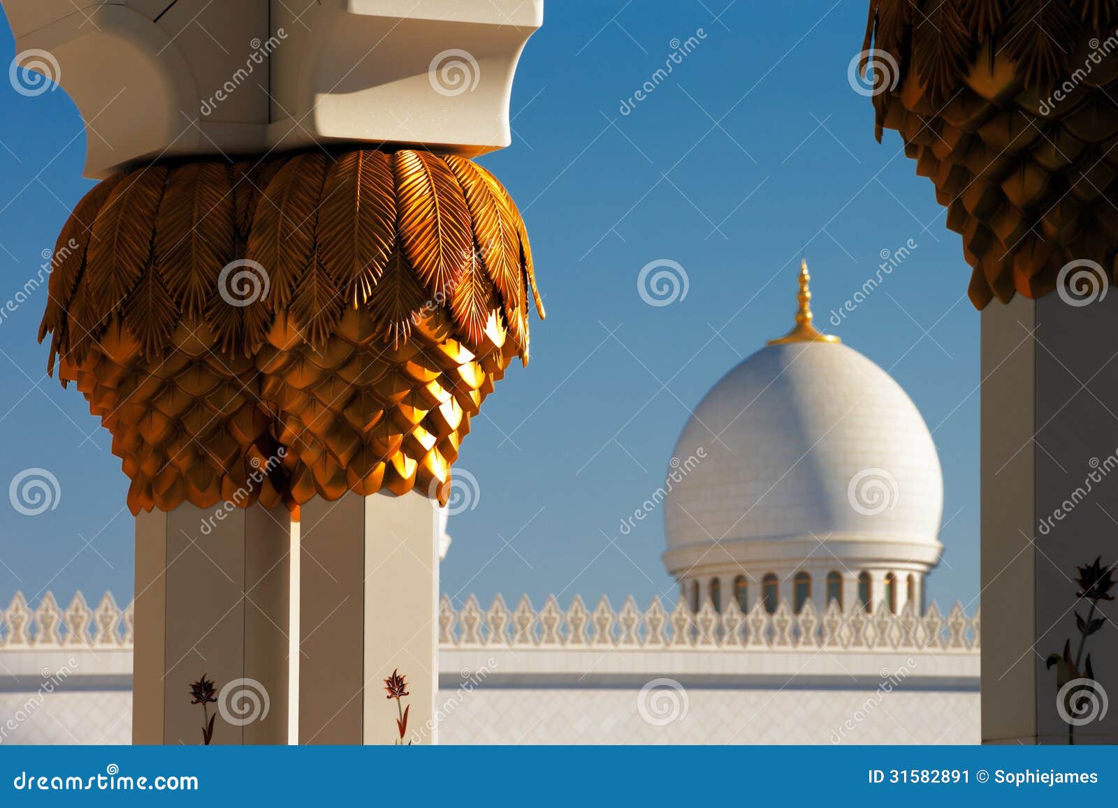 sheikh zayed grand mosque, abu dhabi is the largest in the uae