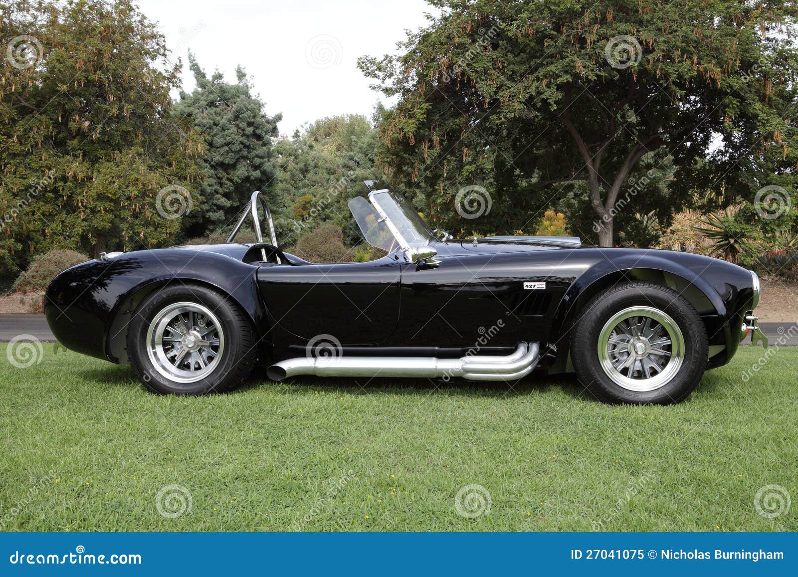 Shelby Cobras at the Los Angeles Arboretum Editorial Image - Image of ...