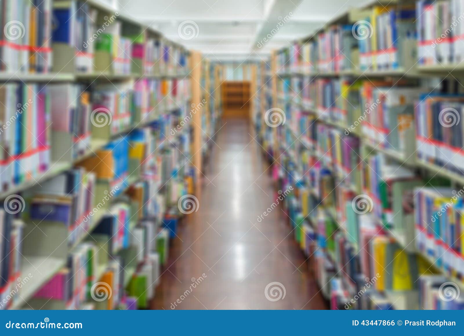 shelf with books in the library background. the image was blurred for use as a background.