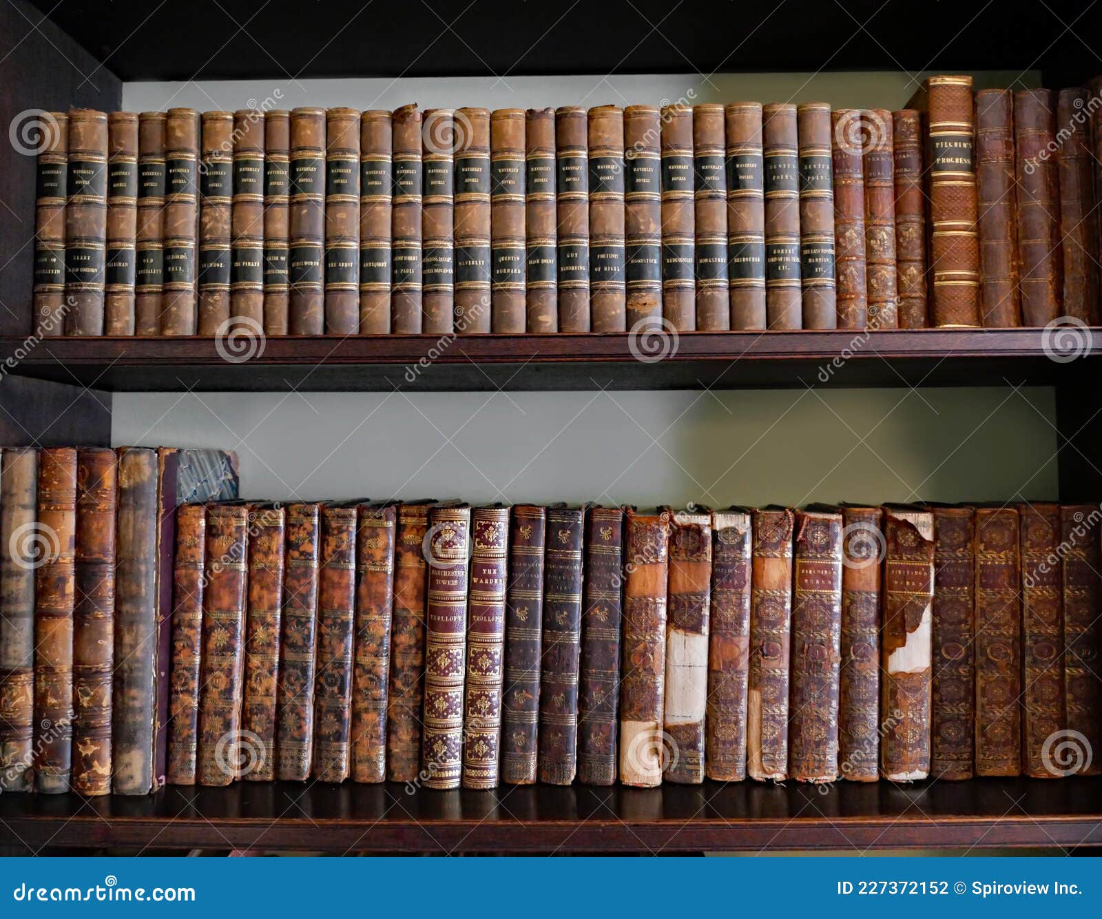 shelf of old 19th century english literature books