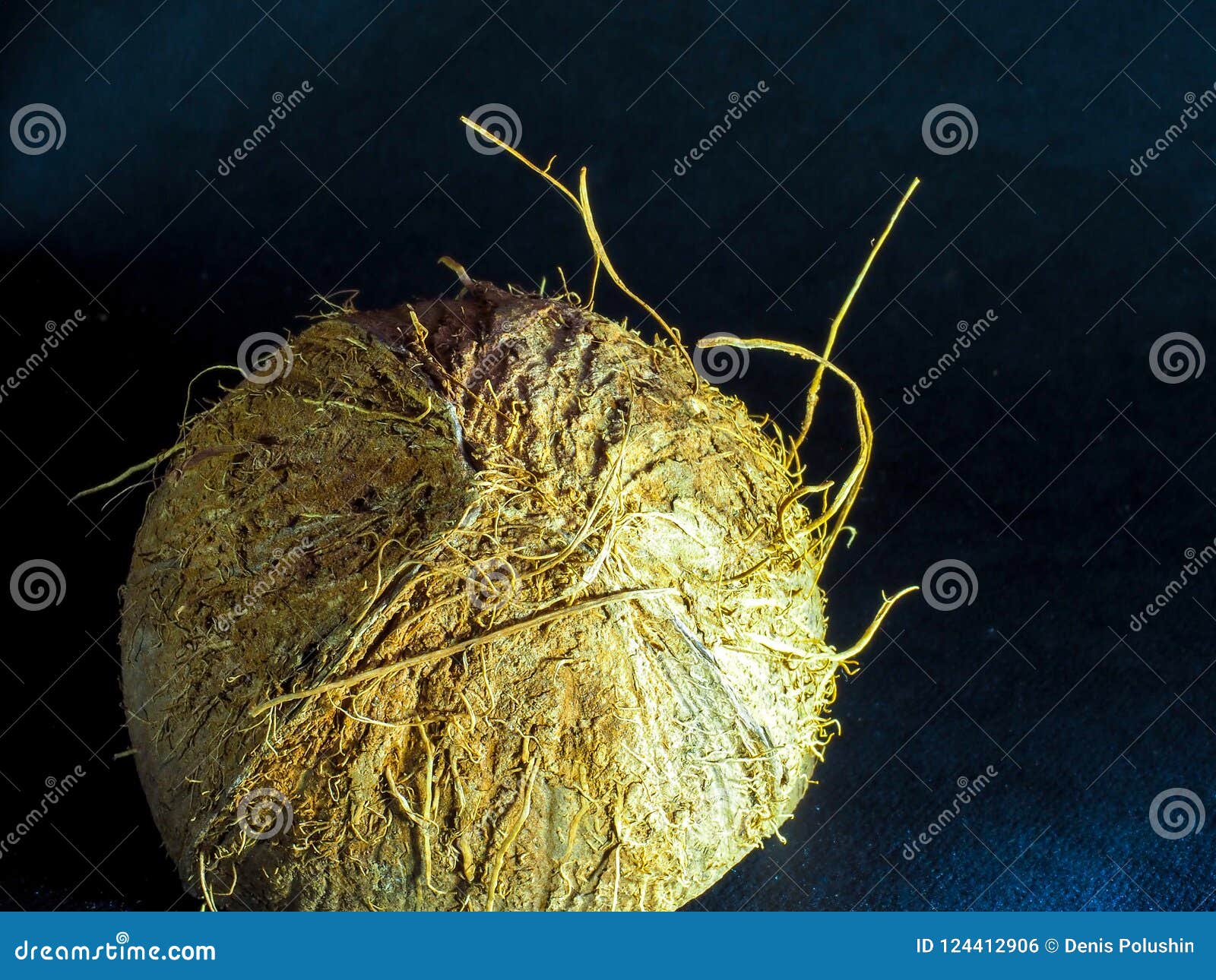 The Shell of the Chopped Coconut Dried and Having an Interesting