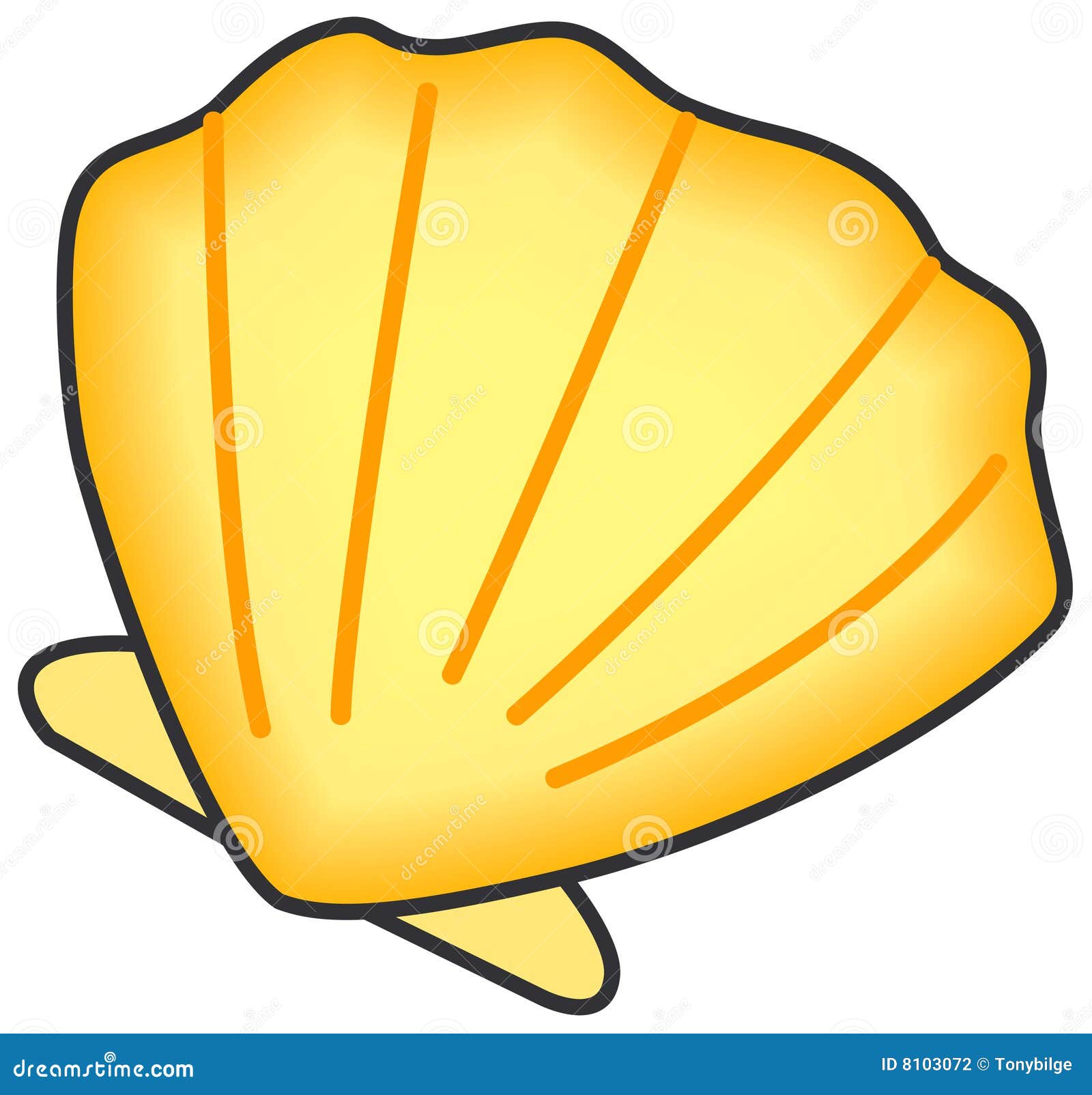 Shell of clam. stock vector. Illustration of ocean, shell - 8103072
