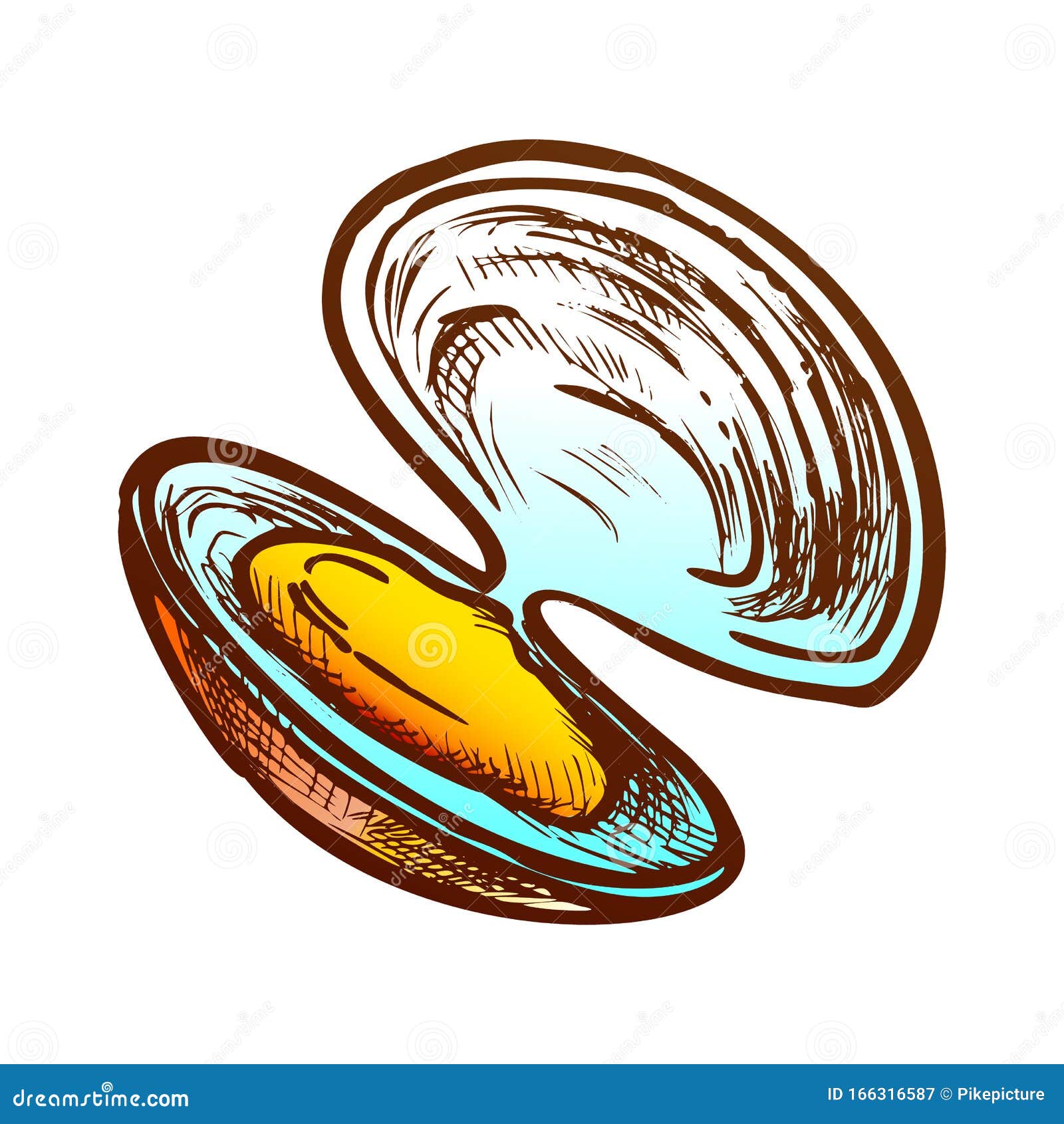 Download Shell Meat Scallop, Mussel Or Oyster Retro Vector Stock Vector - Illustration of cuisine, doodle ...
