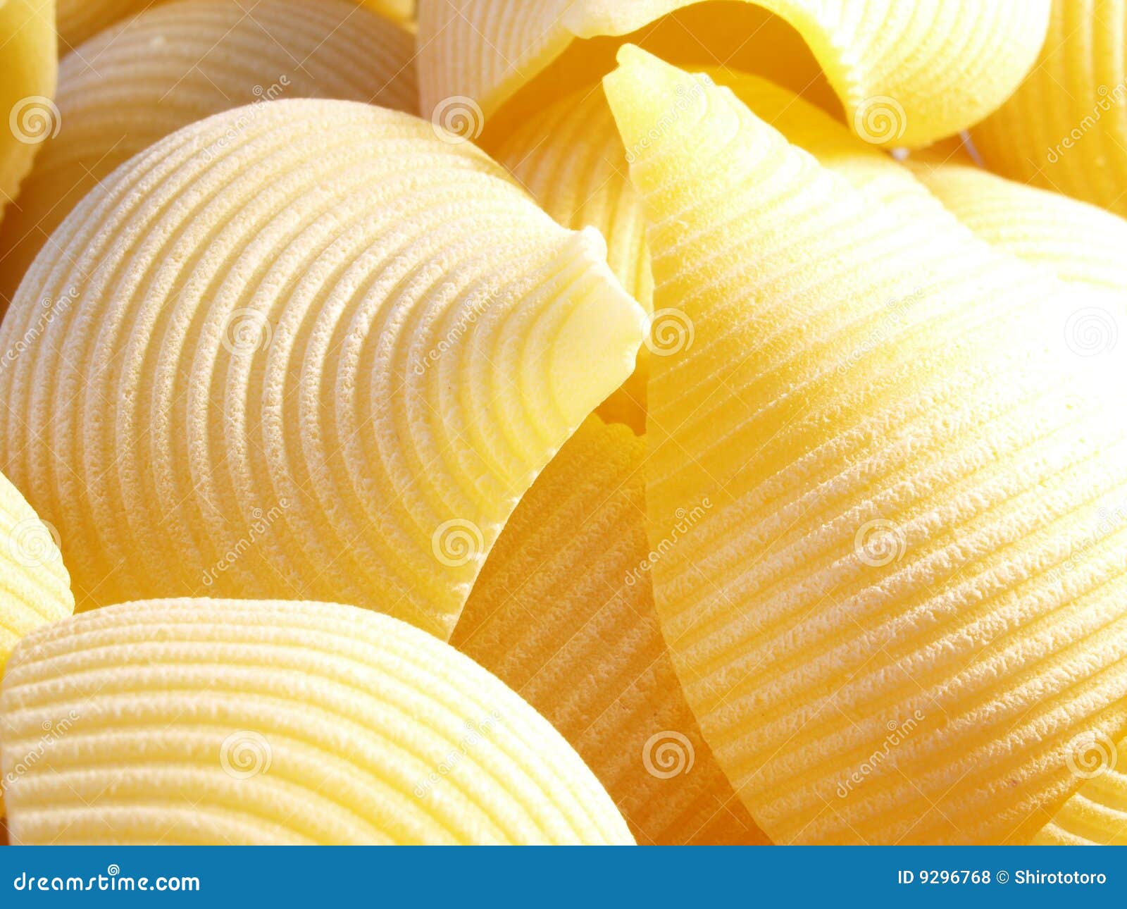 shell pasta types shell pasta types