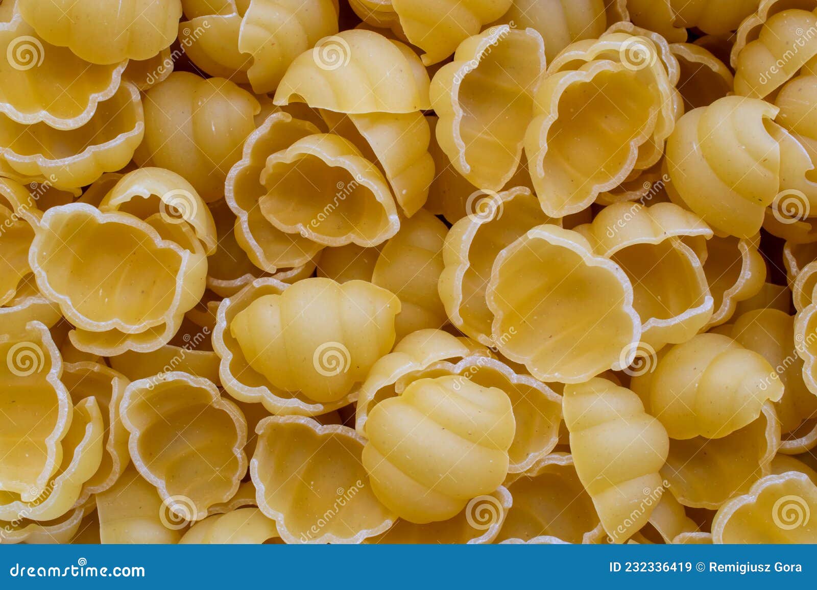 shell pasta, macro photo on tapete