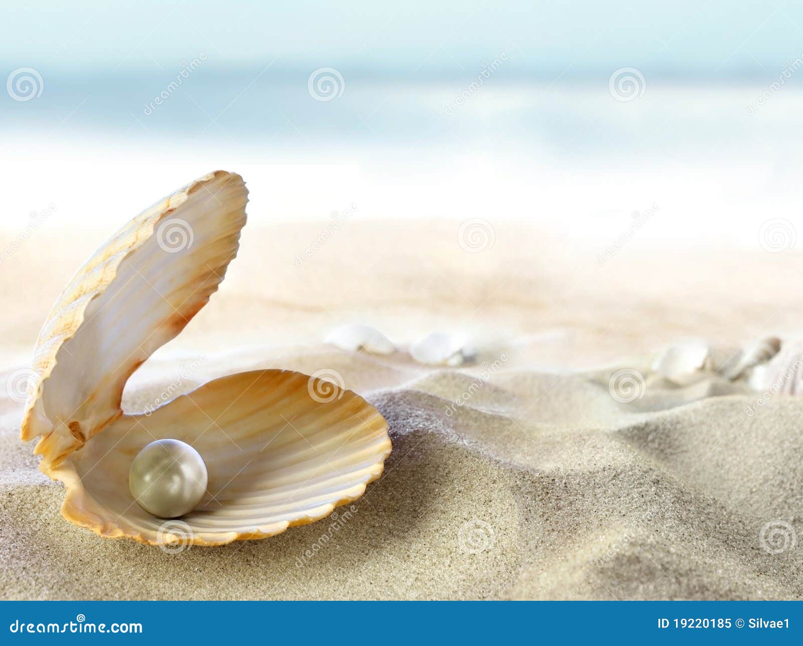 shell with a pearl